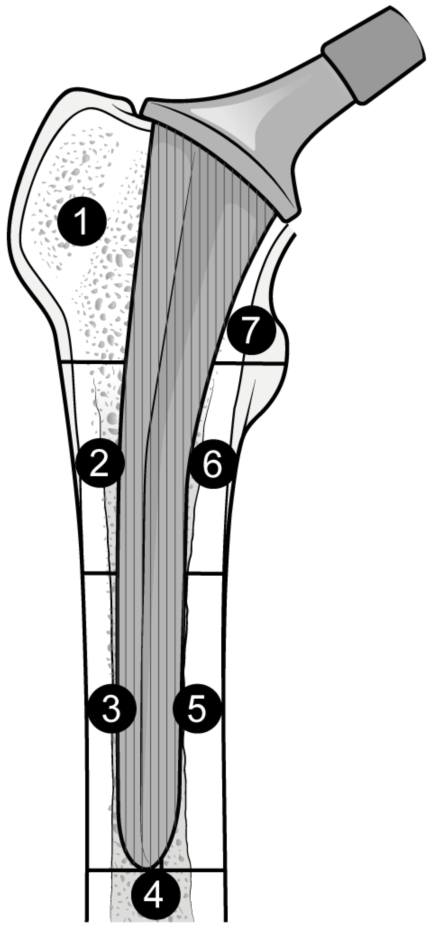 Biomedicines 12 01778 g001