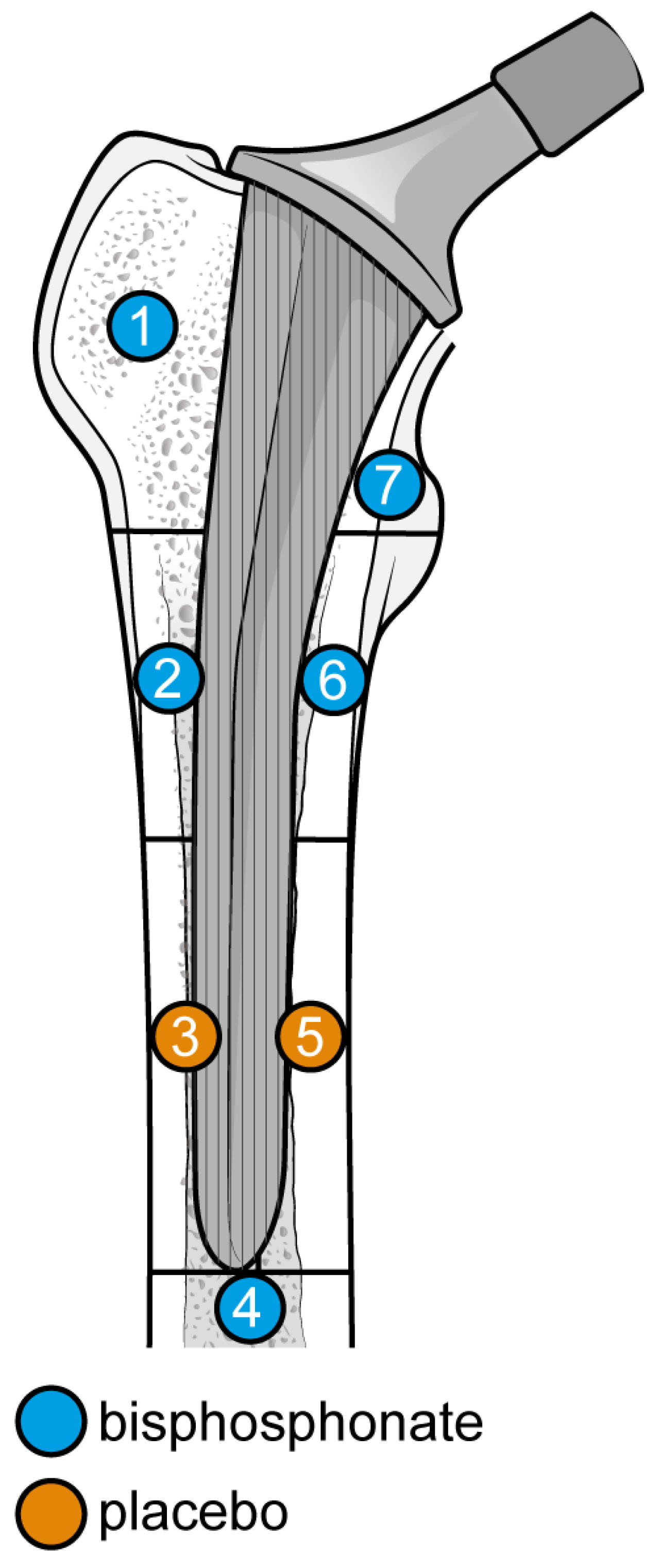 Biomedicines 12 01778 g008