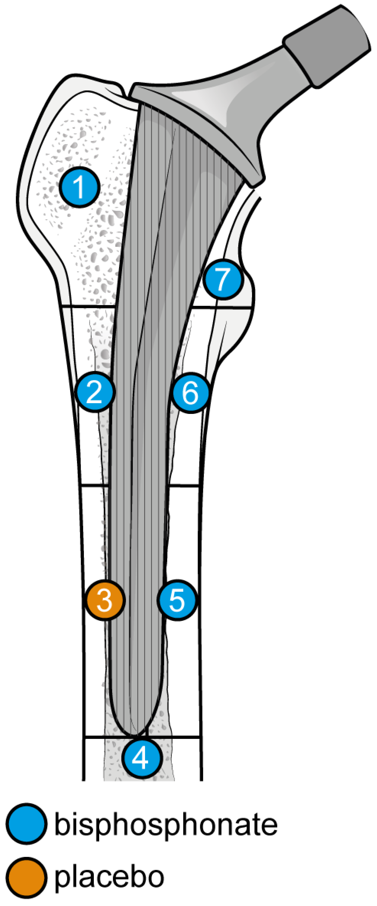 Biomedicines 12 01778 g010