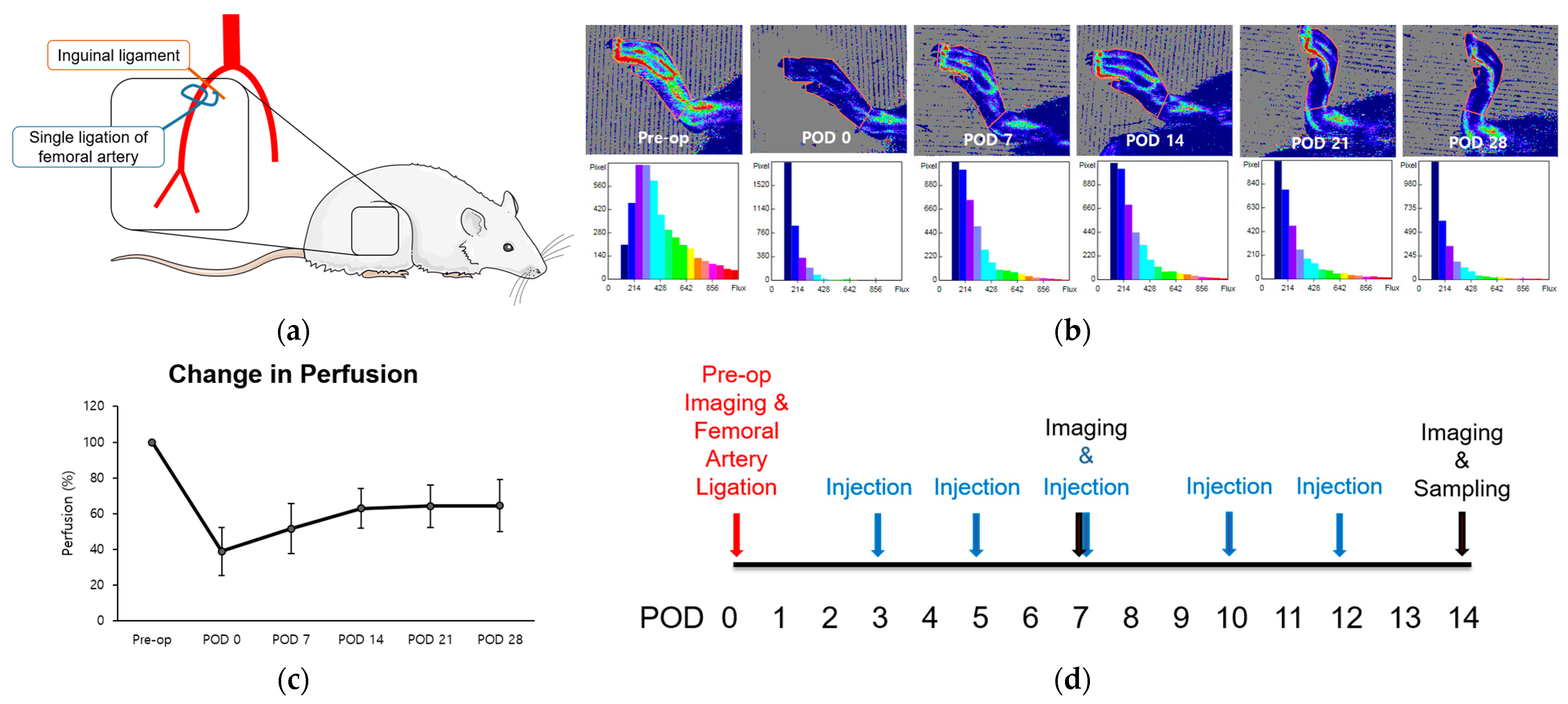 Biomedicines 12 01787 g001 Biomedicines 12 01787 g001