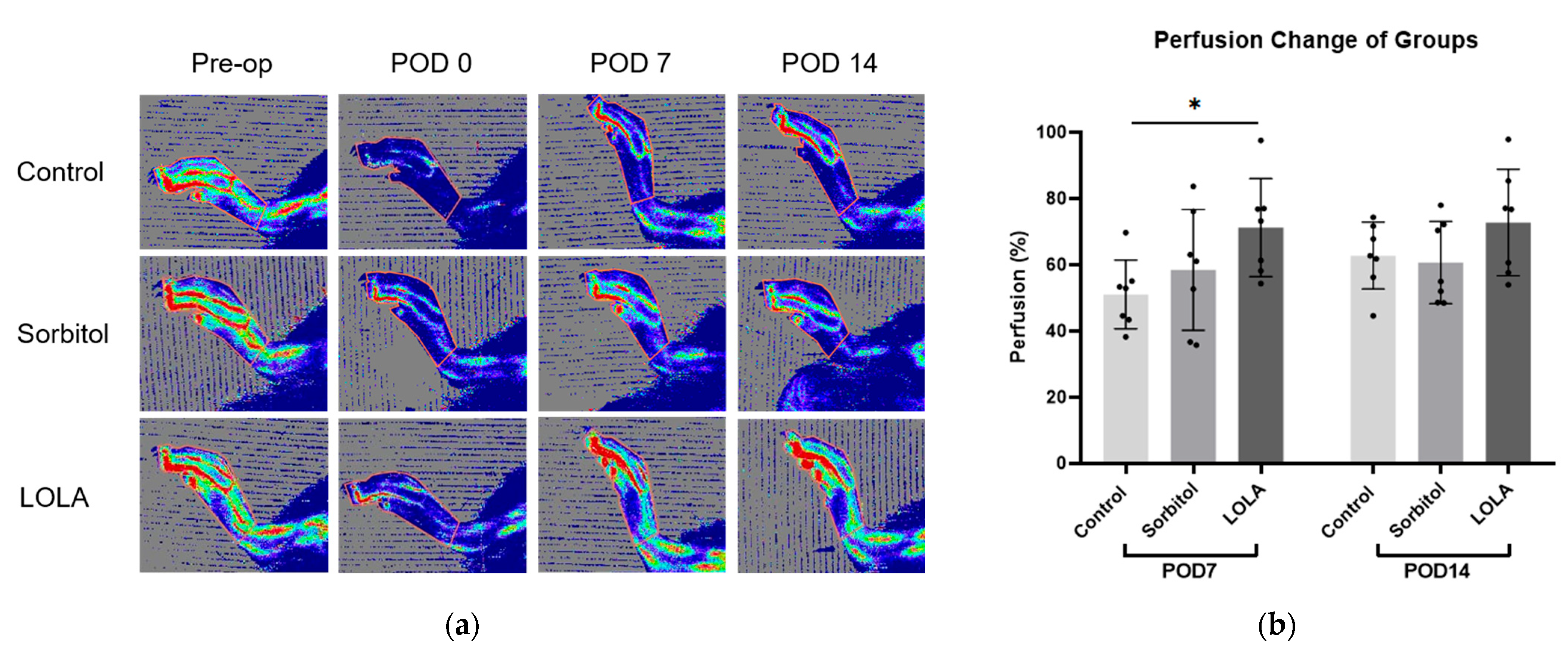 Biomedicines 12 01787 g002 Biomedicines 12 01787 g002