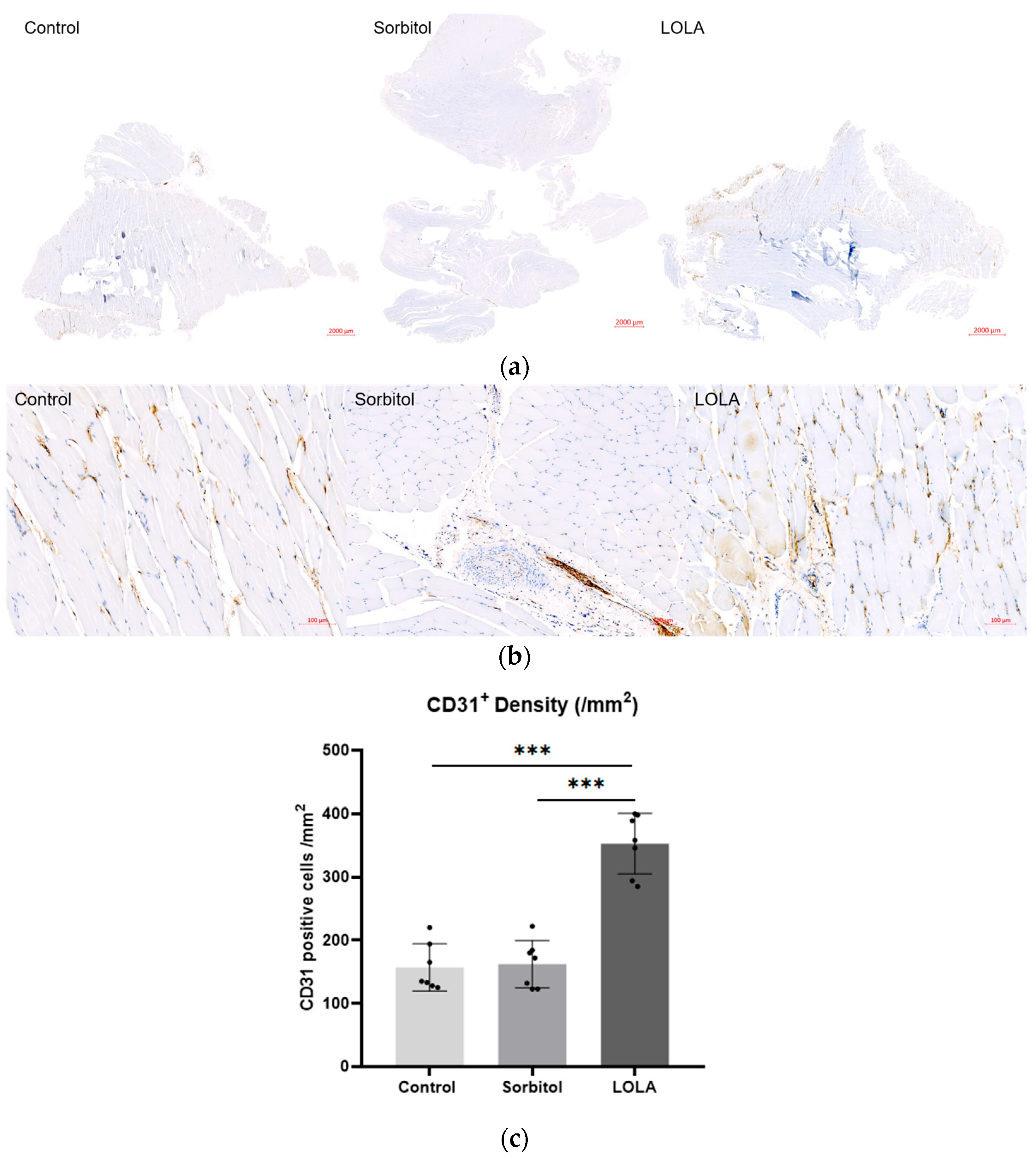 Biomedicines 12 01787 g003 Biomedicines 12 01787 g003