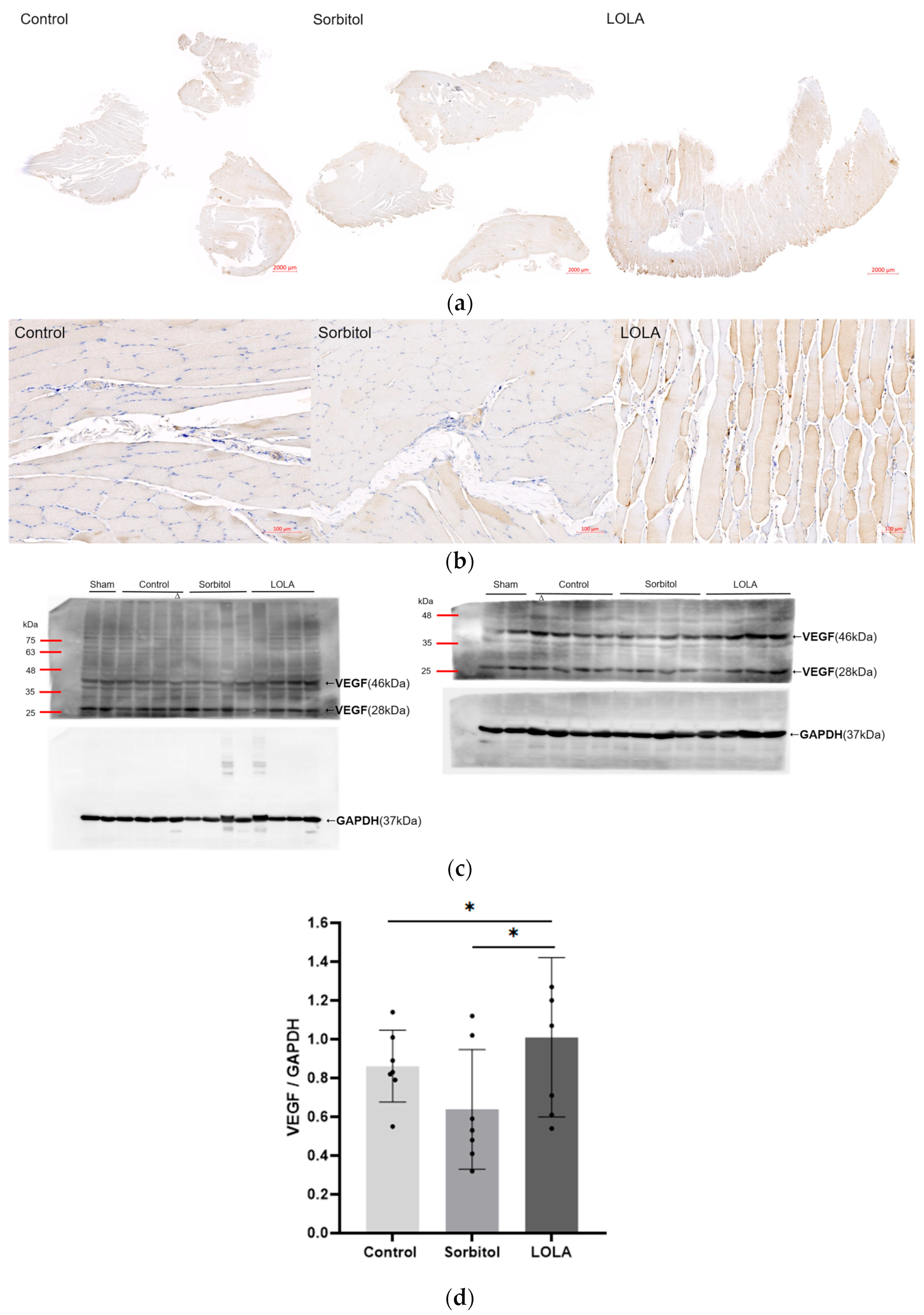 Biomedicines 12 01787 g004 Biomedicines 12 01787 g004