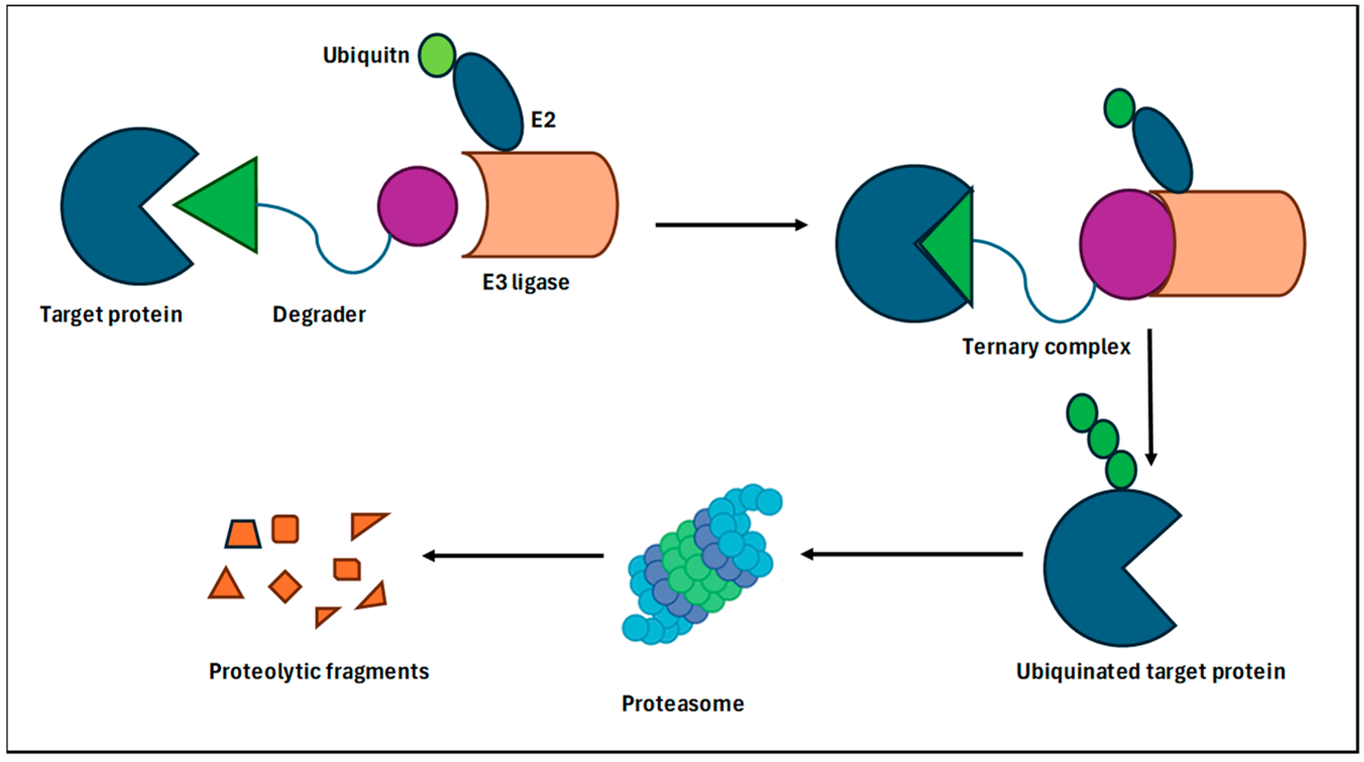 Biomedicines 12 01801 g002 Biomedicines 12 01801 g002