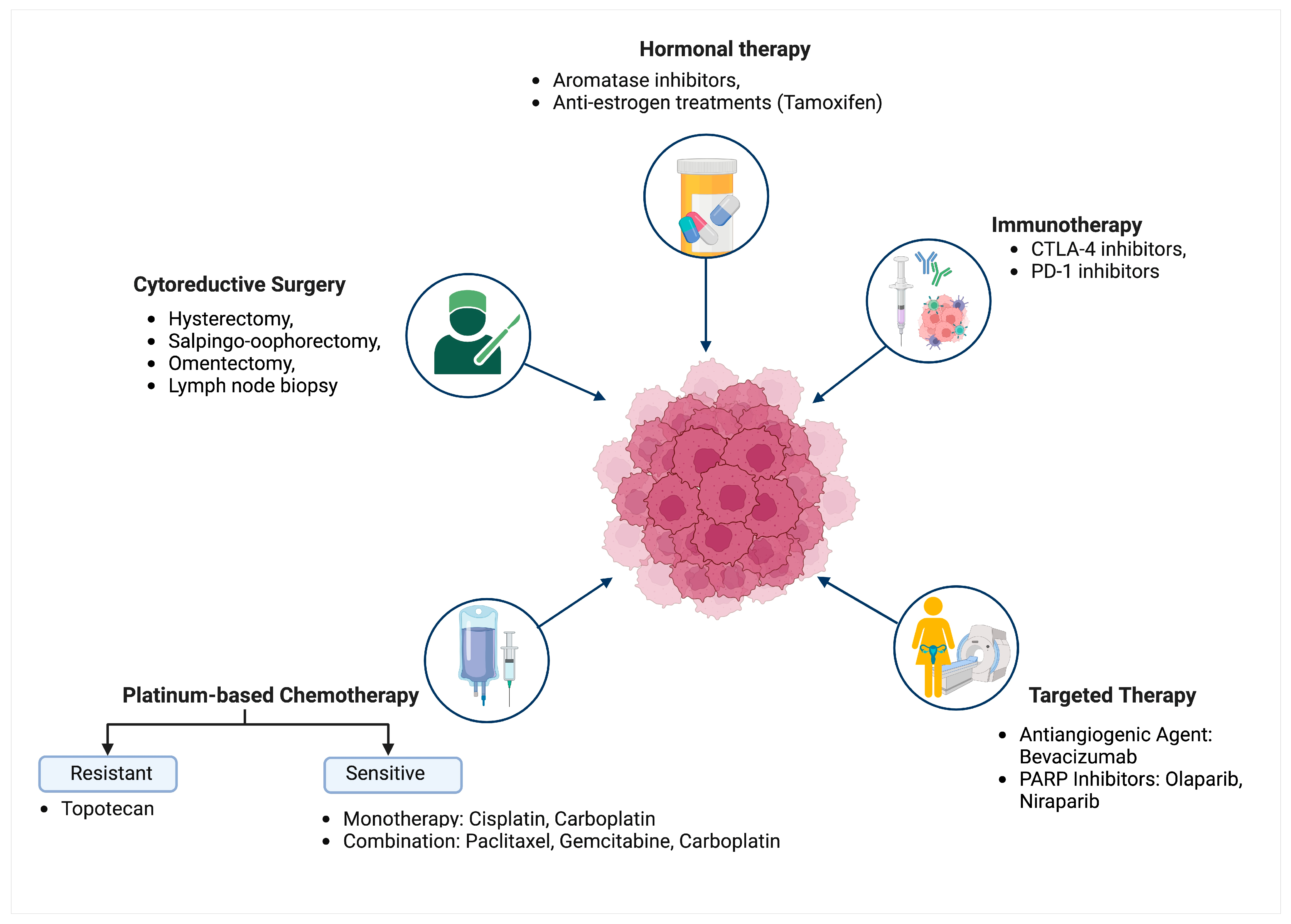Biomedicines 12 01806 g001 Biomedicines 12 01806 g001