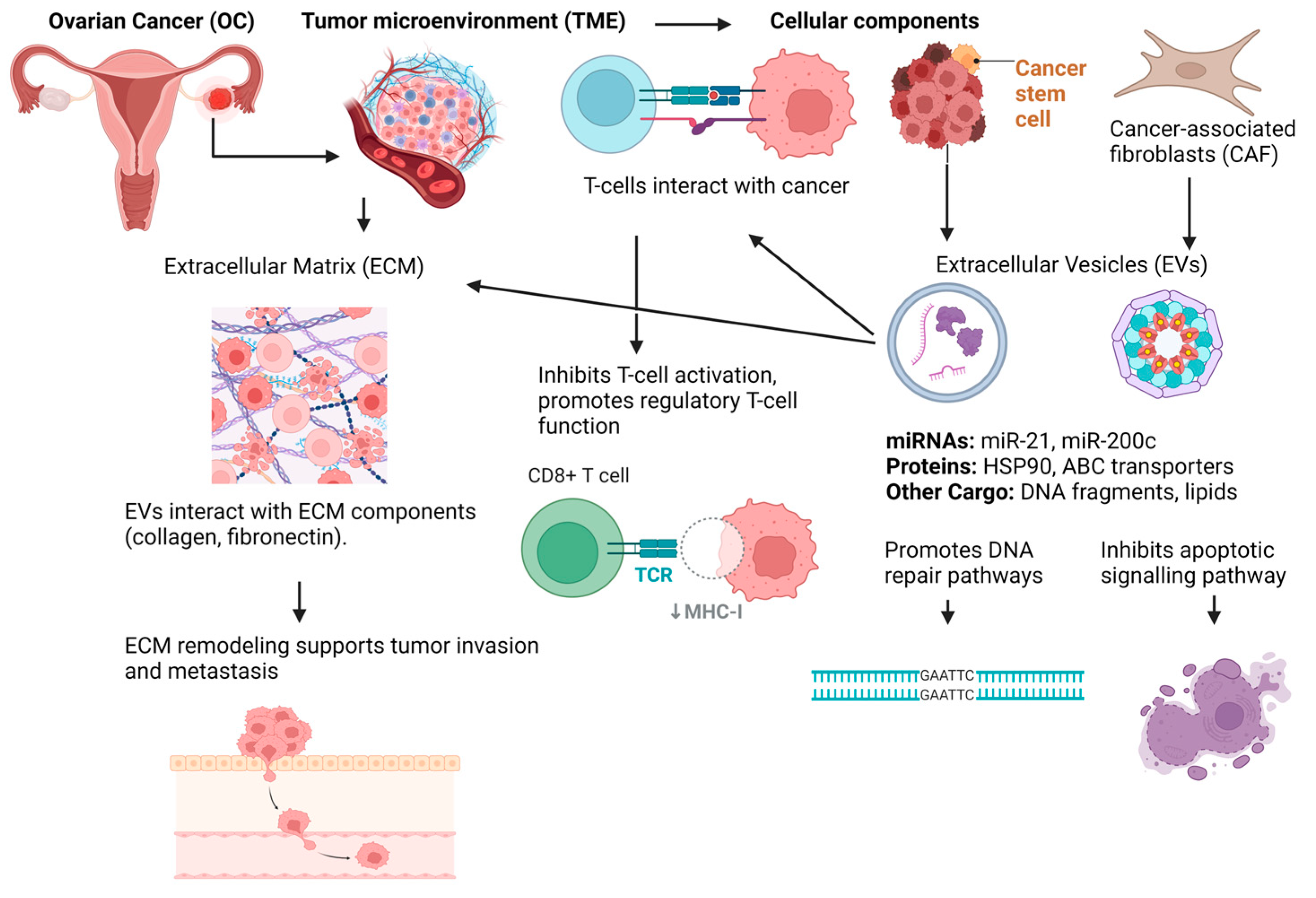 Biomedicines 12 01806 g002 Biomedicines 12 01806 g002
