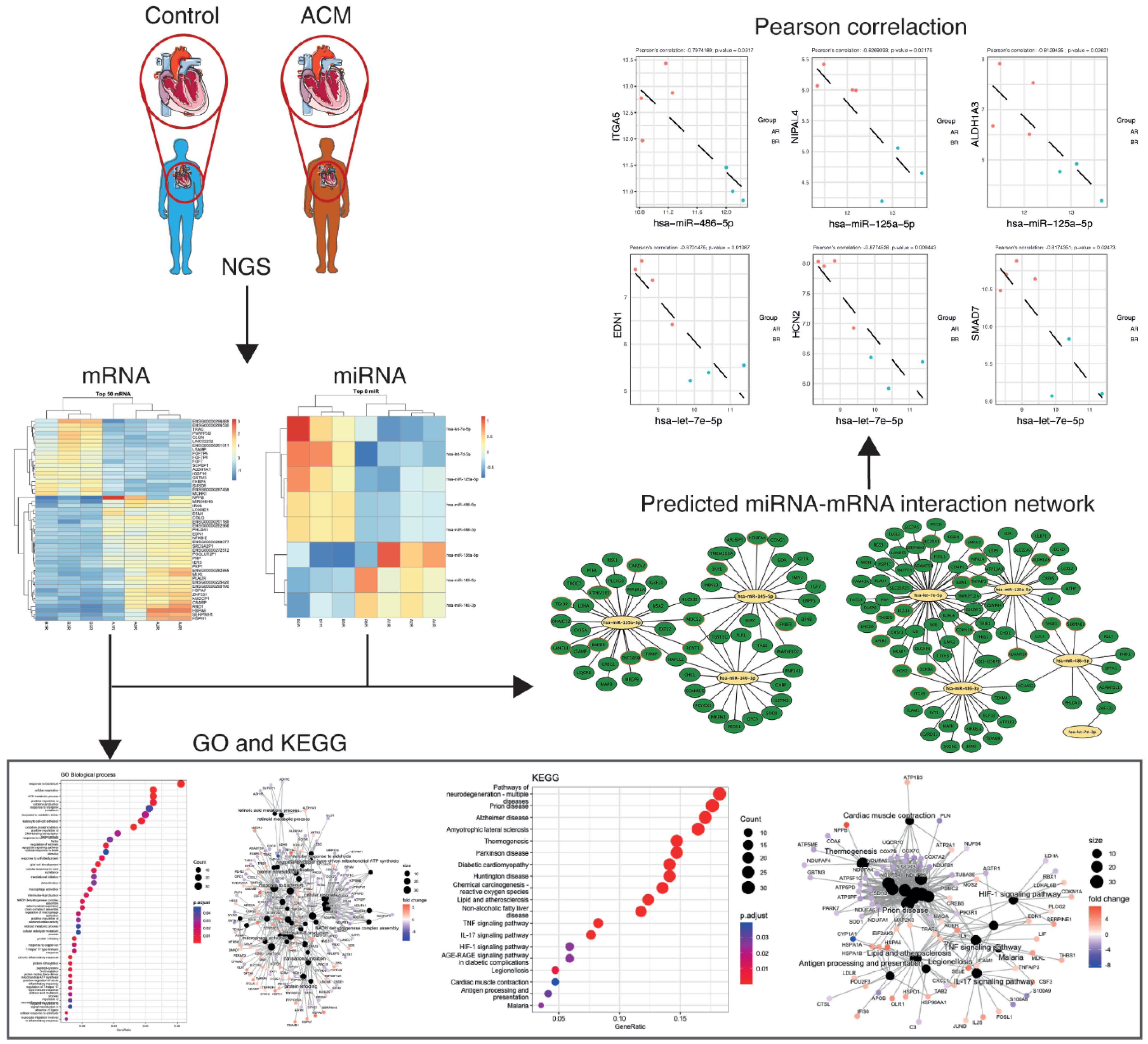 Biomedicines 12 01807 g001 Biomedicines 12 01807 g001