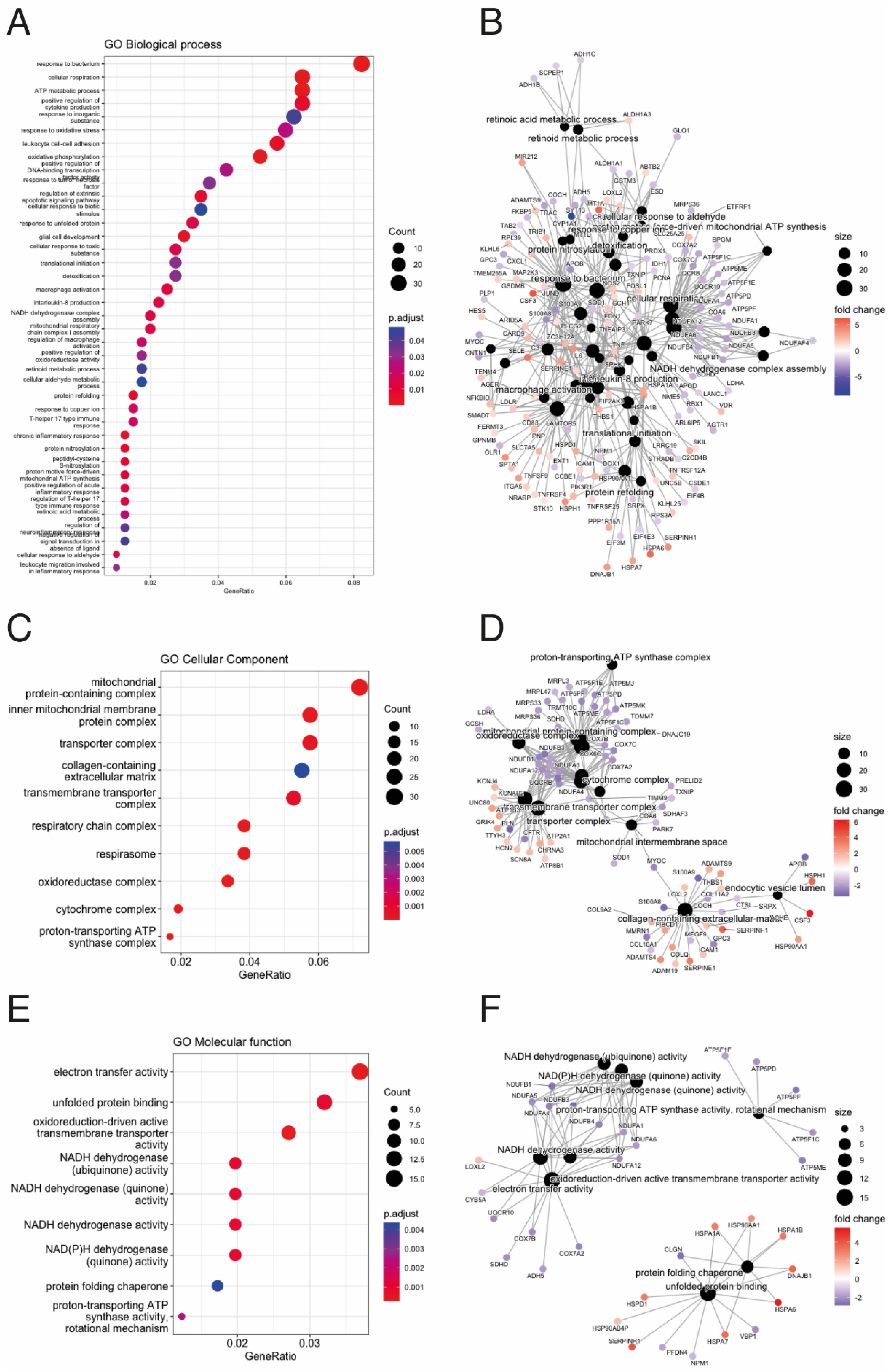 Biomedicines 12 01807 g003 Biomedicines 12 01807 g003