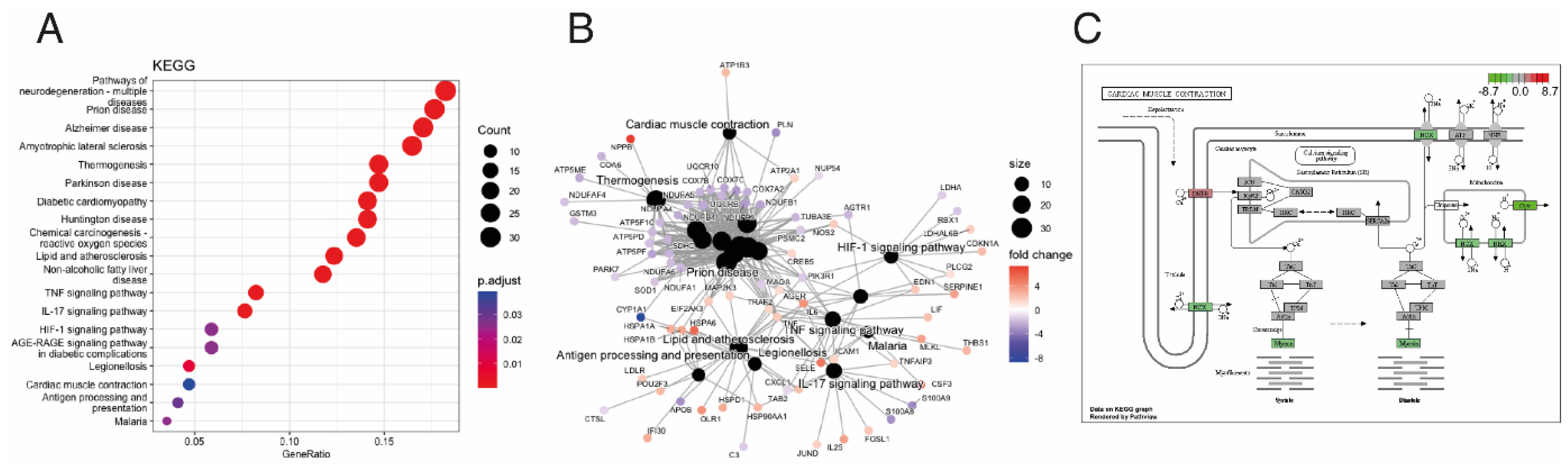 Biomedicines 12 01807 g004 Biomedicines 12 01807 g004
