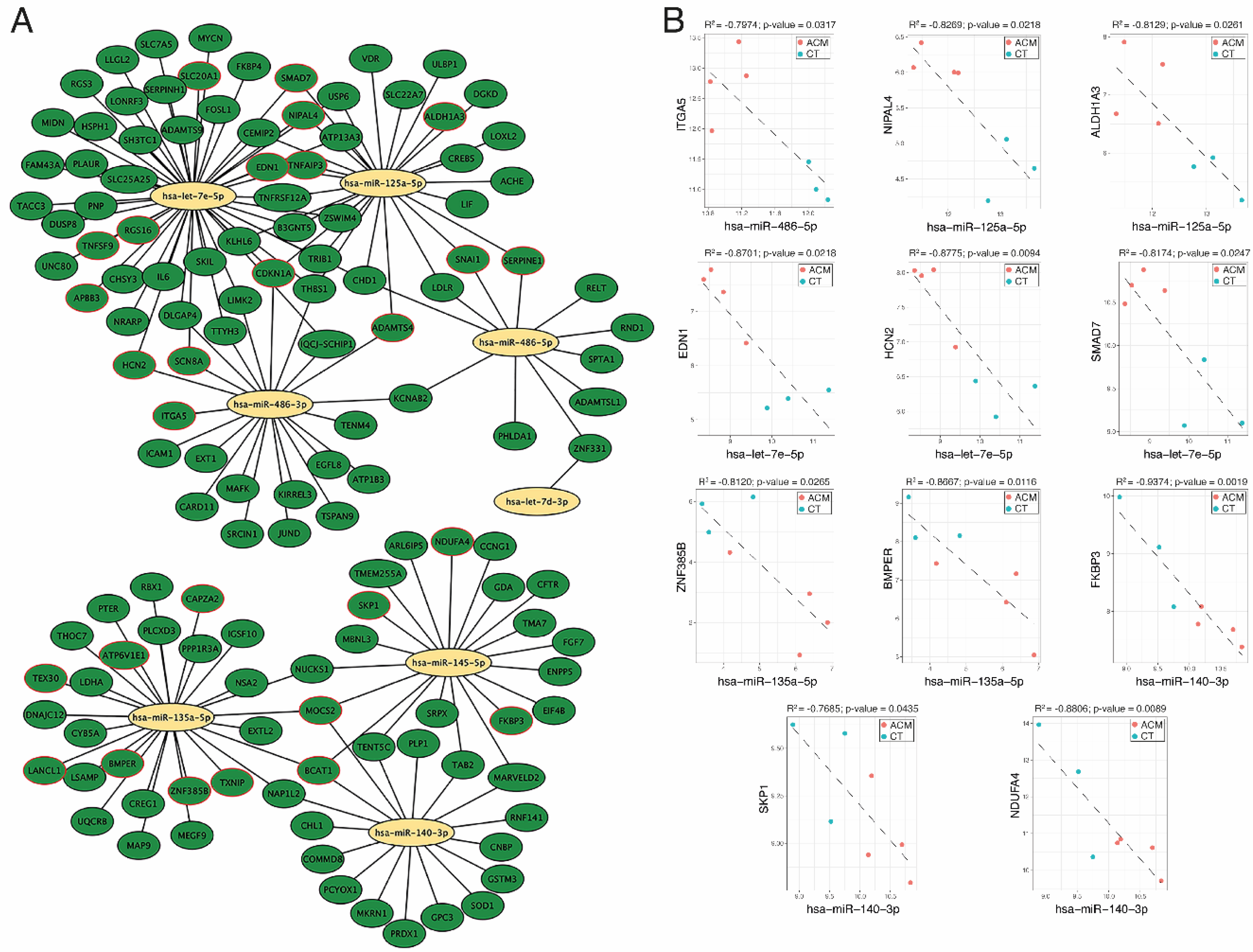 Biomedicines 12 01807 g005 Biomedicines 12 01807 g005