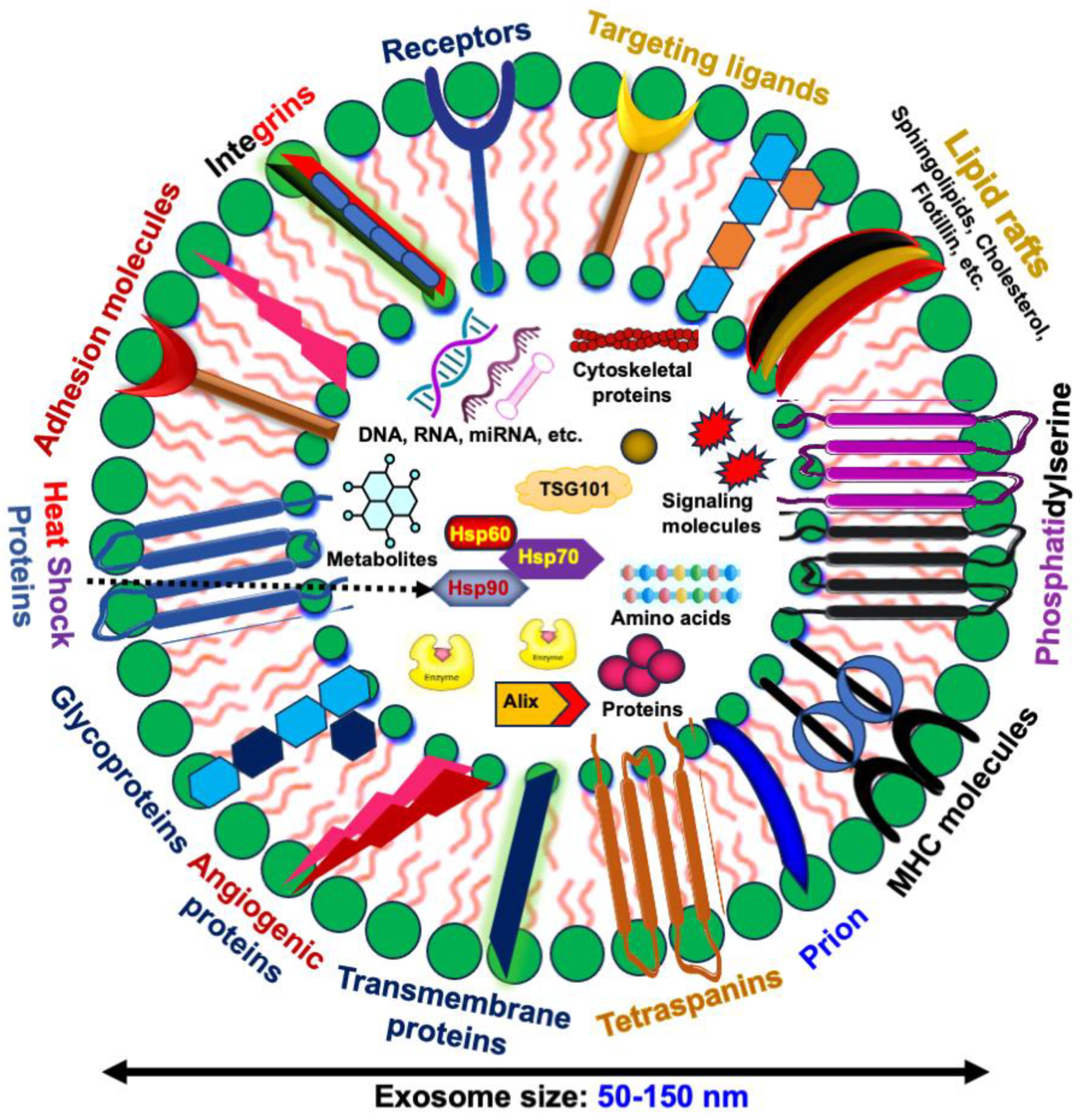 Biomedicines 12 01809 g001 Biomedicines 12 01809 g001