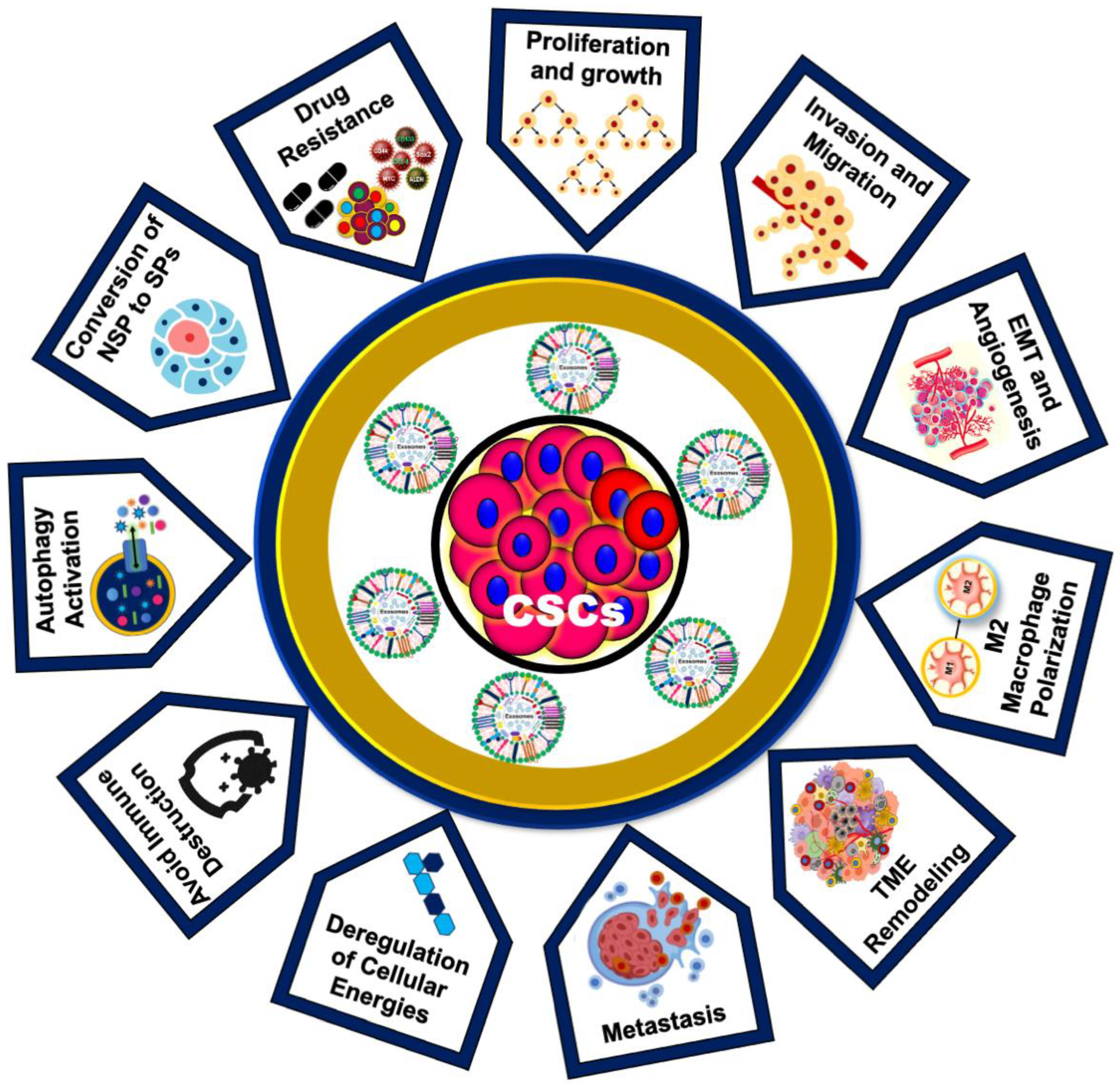 Biomedicines 12 01809 g004 Biomedicines 12 01809 g004