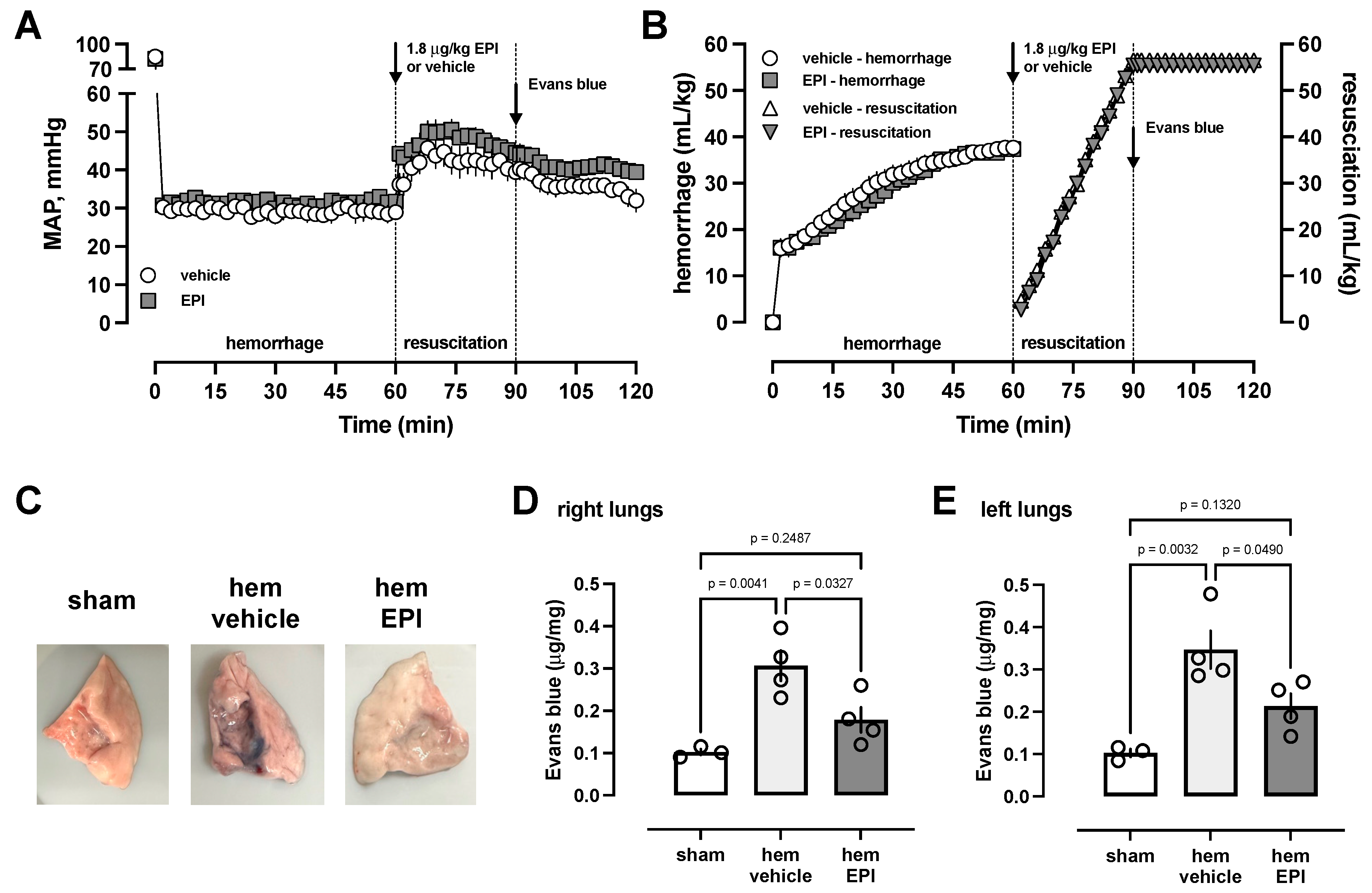 Biomedicines 12 01813 g005