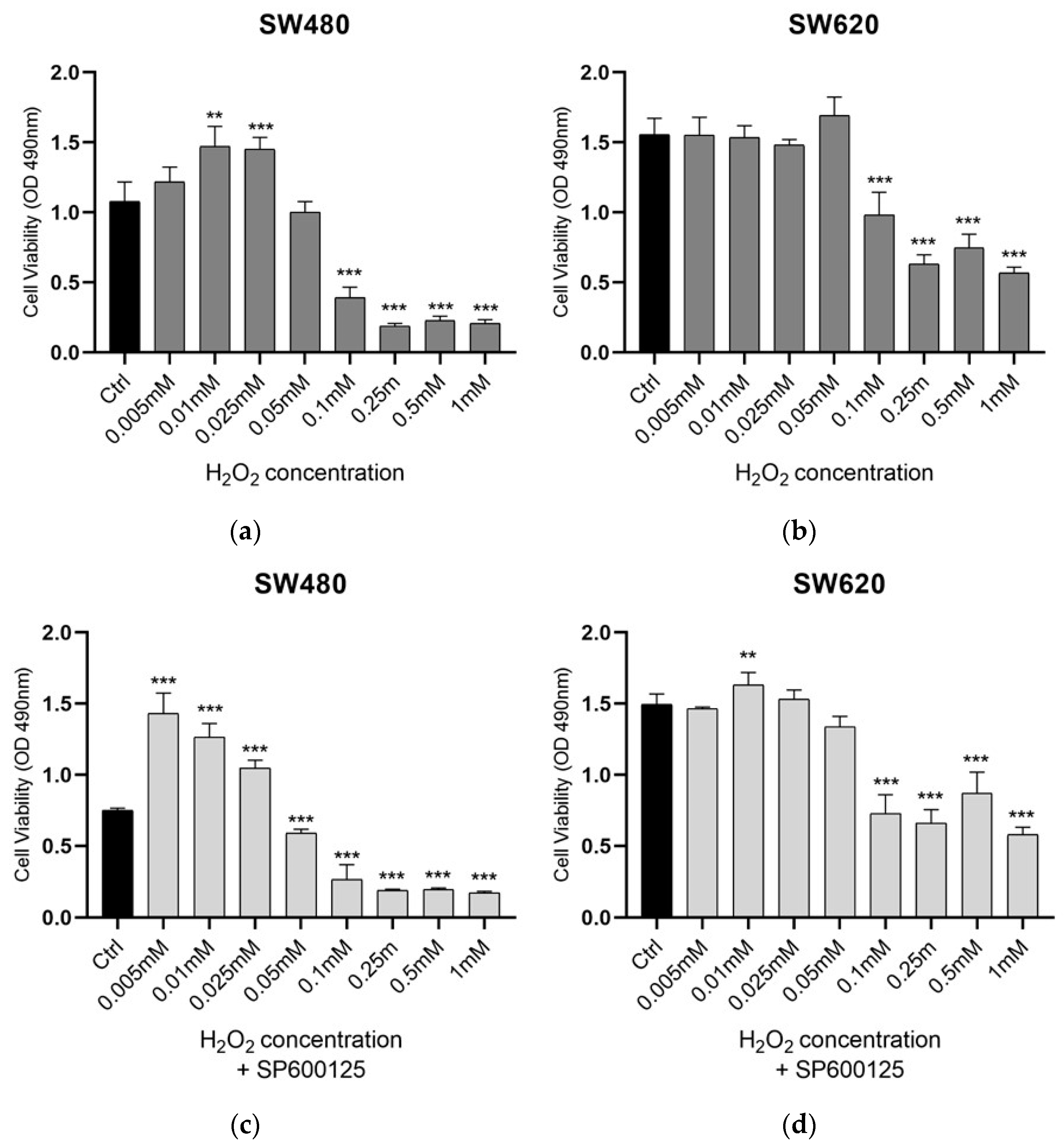 Biomedicines 12 01816 g001