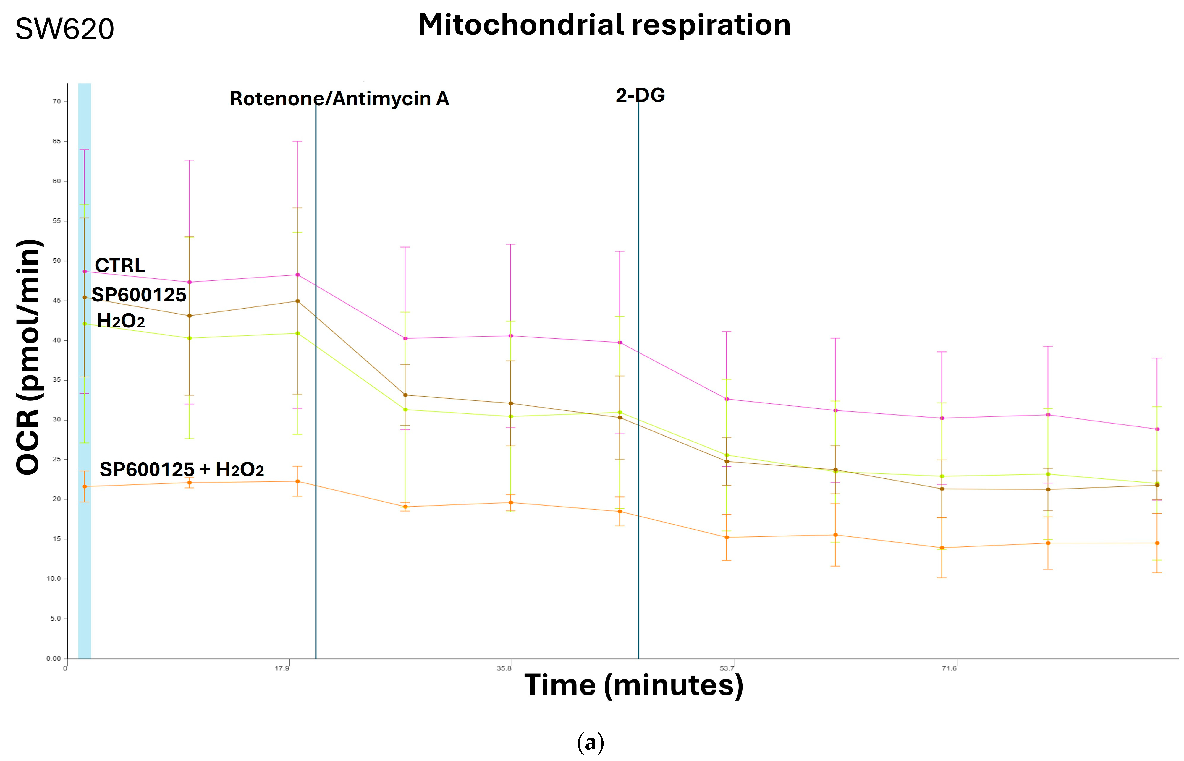 Biomedicines 12 01816 g003a