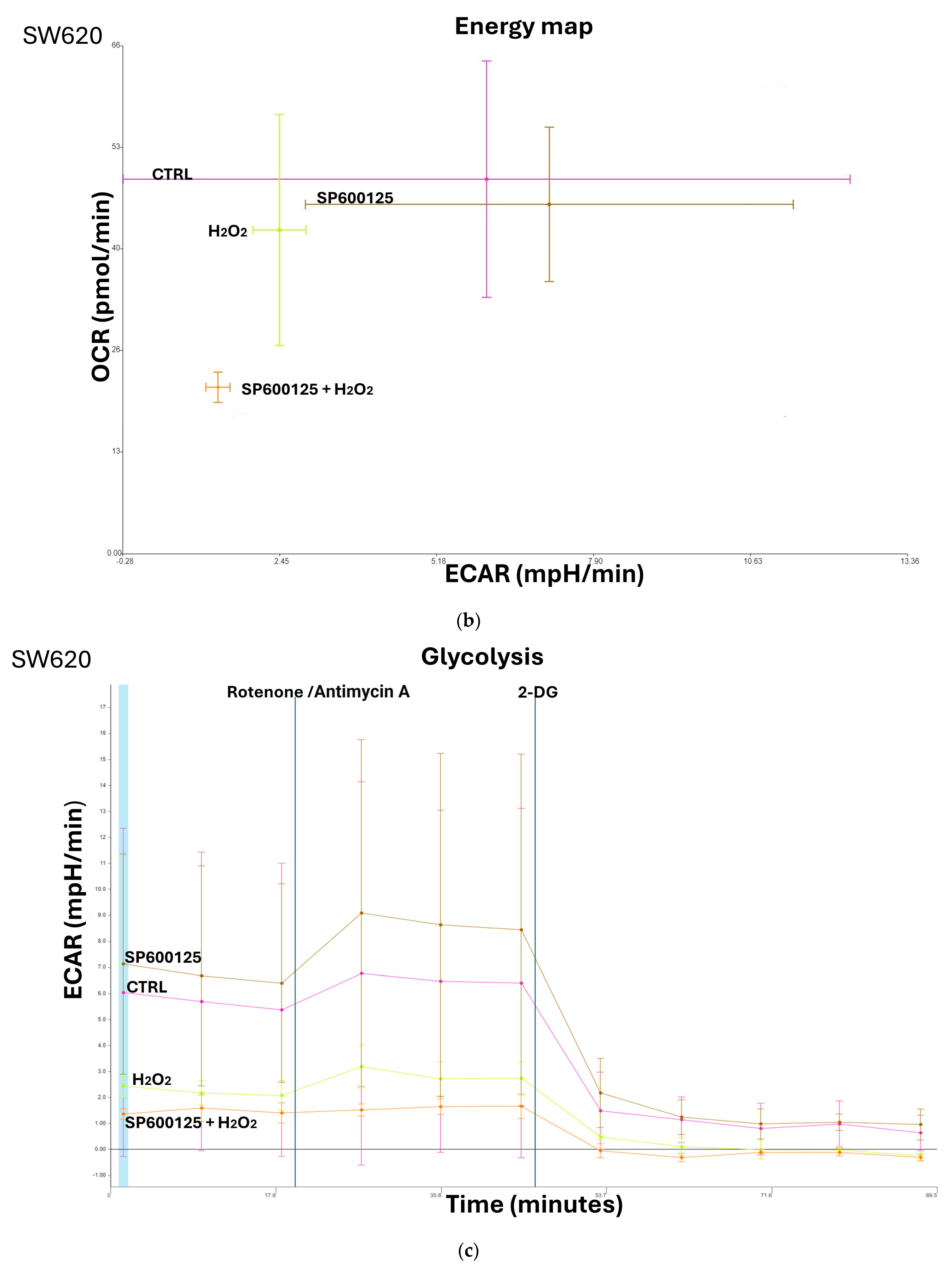 Biomedicines 12 01816 g003b
