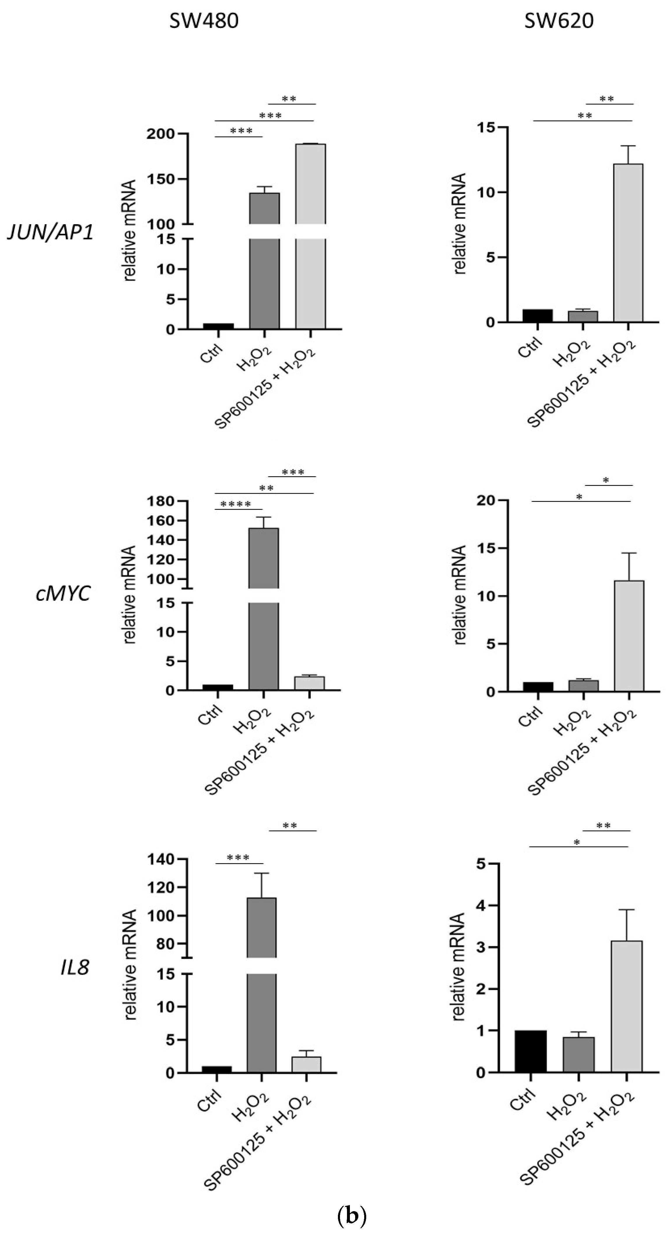 Biomedicines 12 01816 g004b