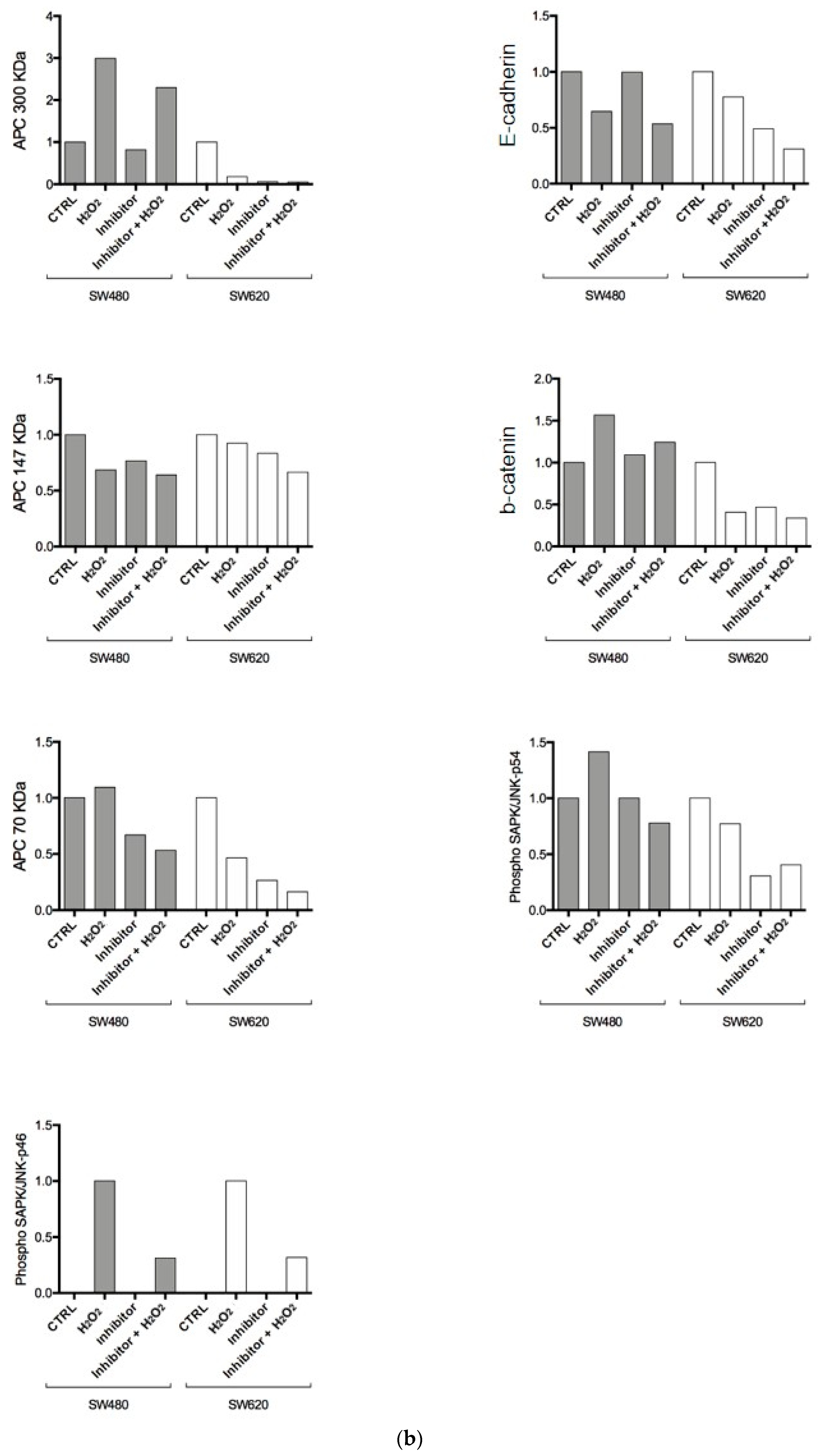Biomedicines 12 01816 g005b