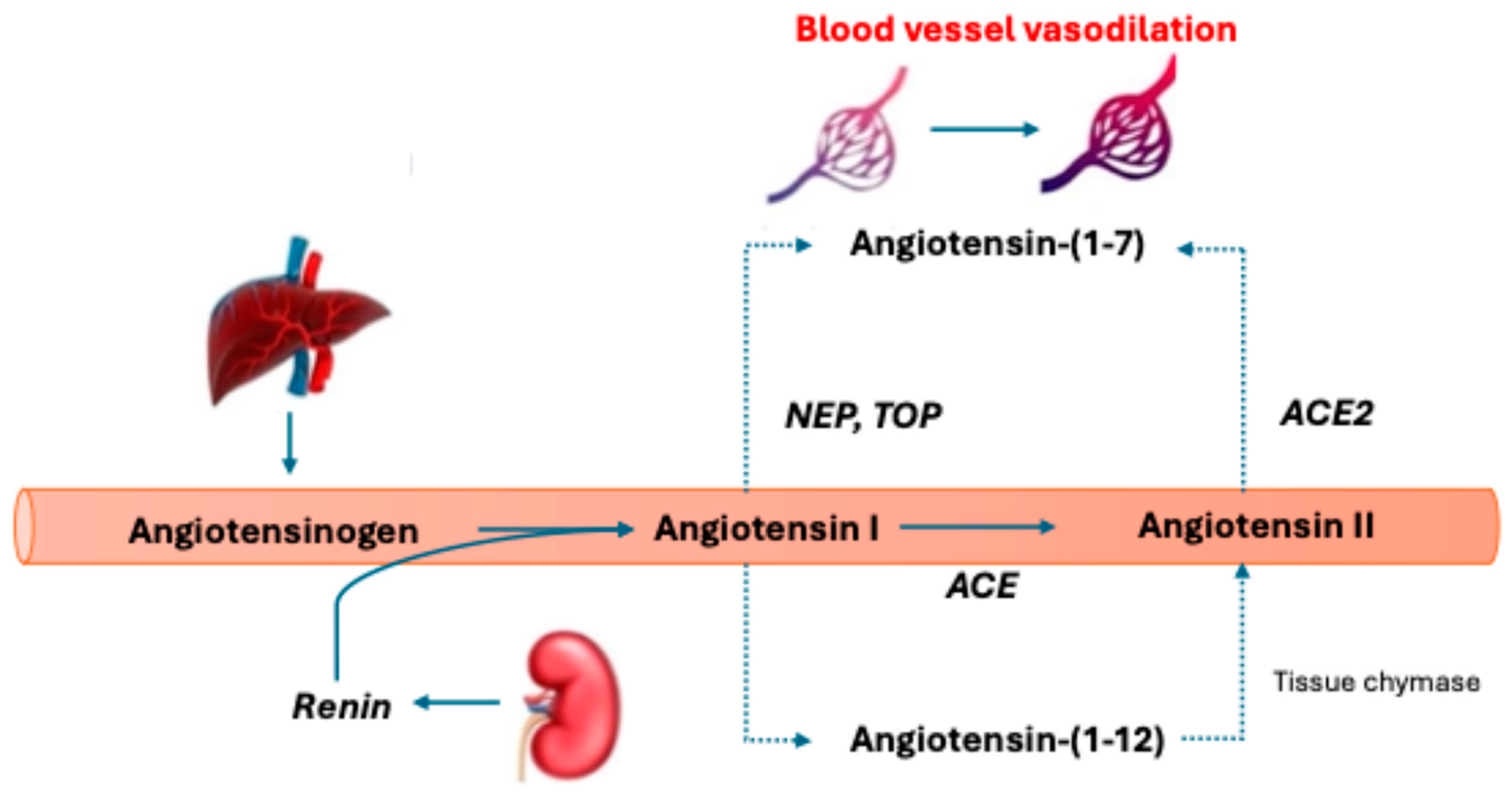 Biomedicines 12 01817 g003