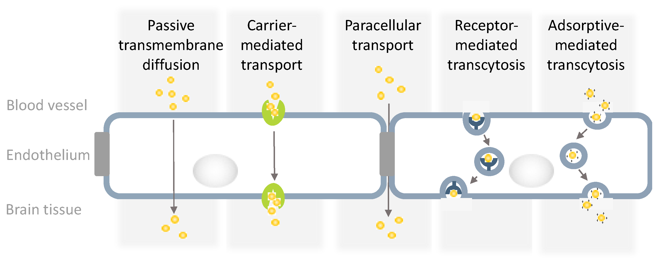 Biomedicines 12 01822 g001