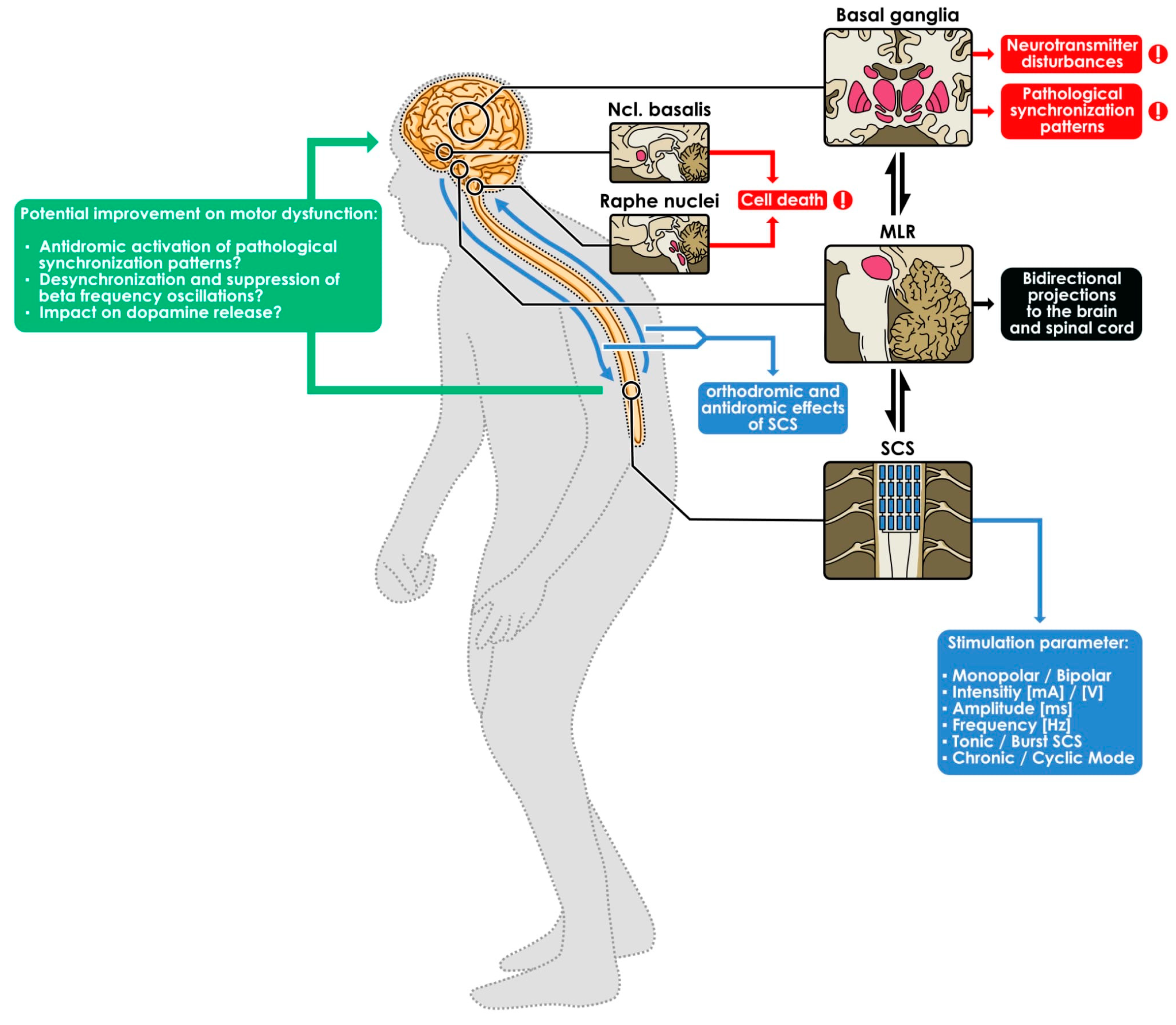 Biomedicines 12 01824 g002