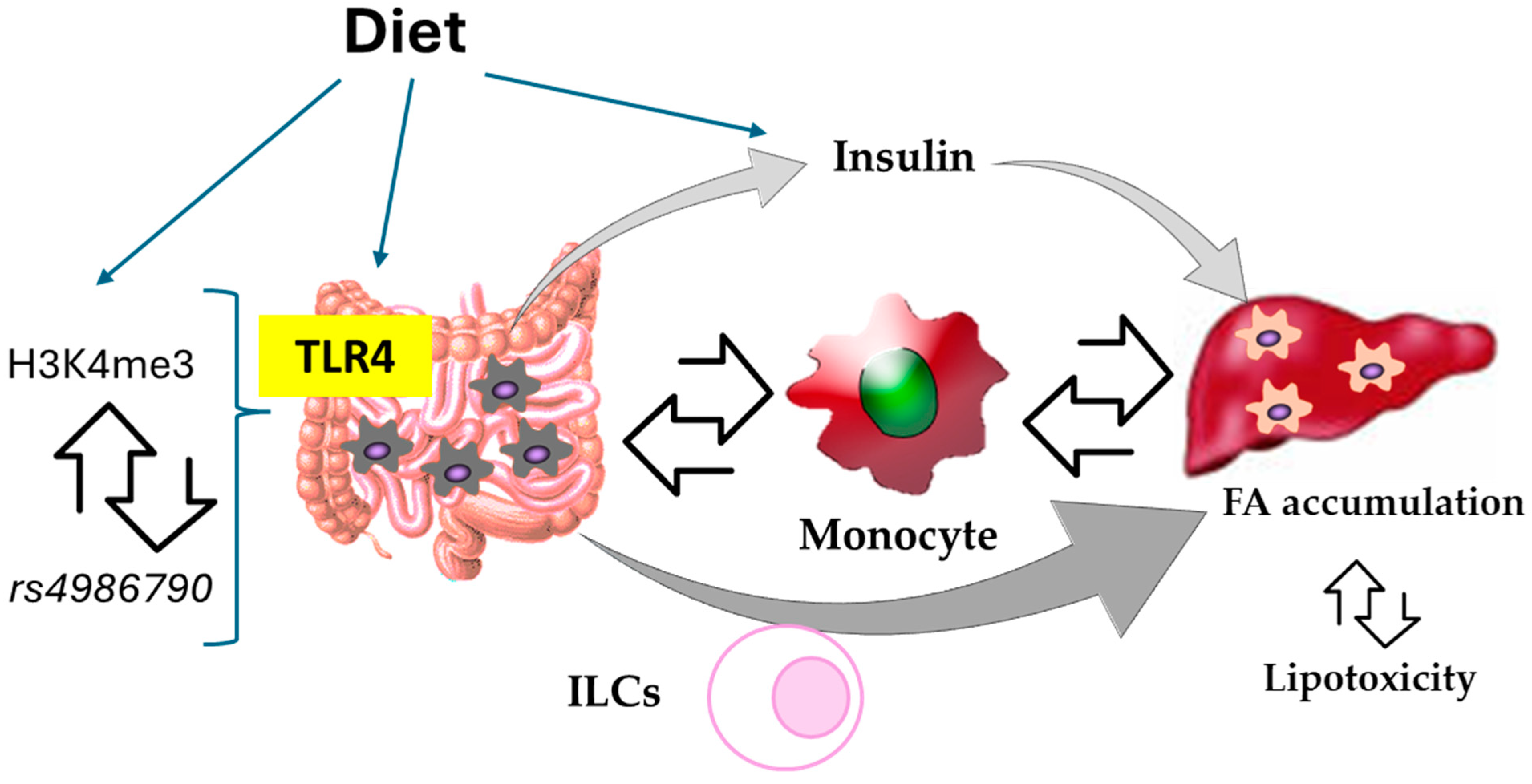 Biomedicines 12 01825 g001 Biomedicines 12 01825 g001