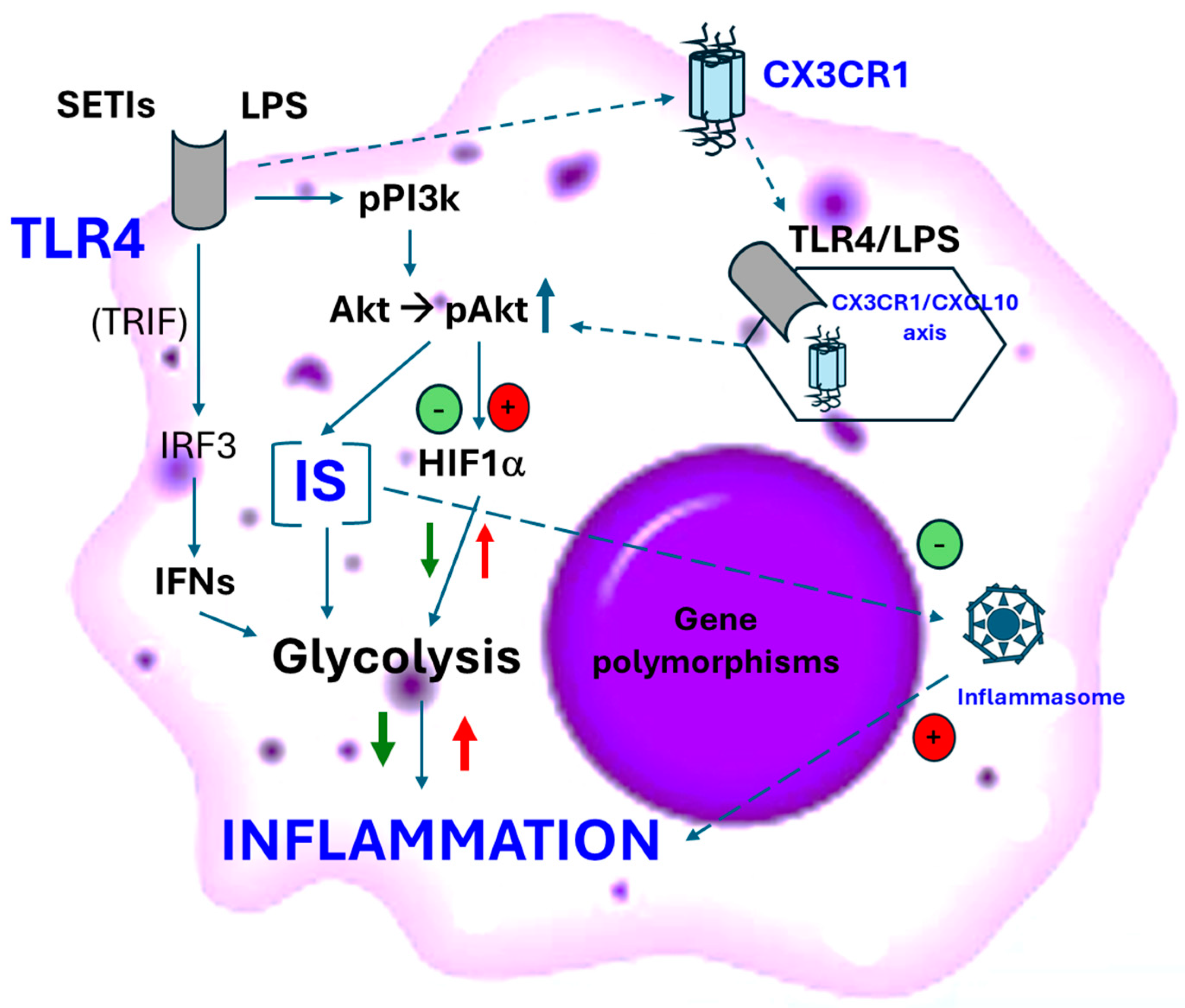 Biomedicines 12 01825 g002 Biomedicines 12 01825 g002