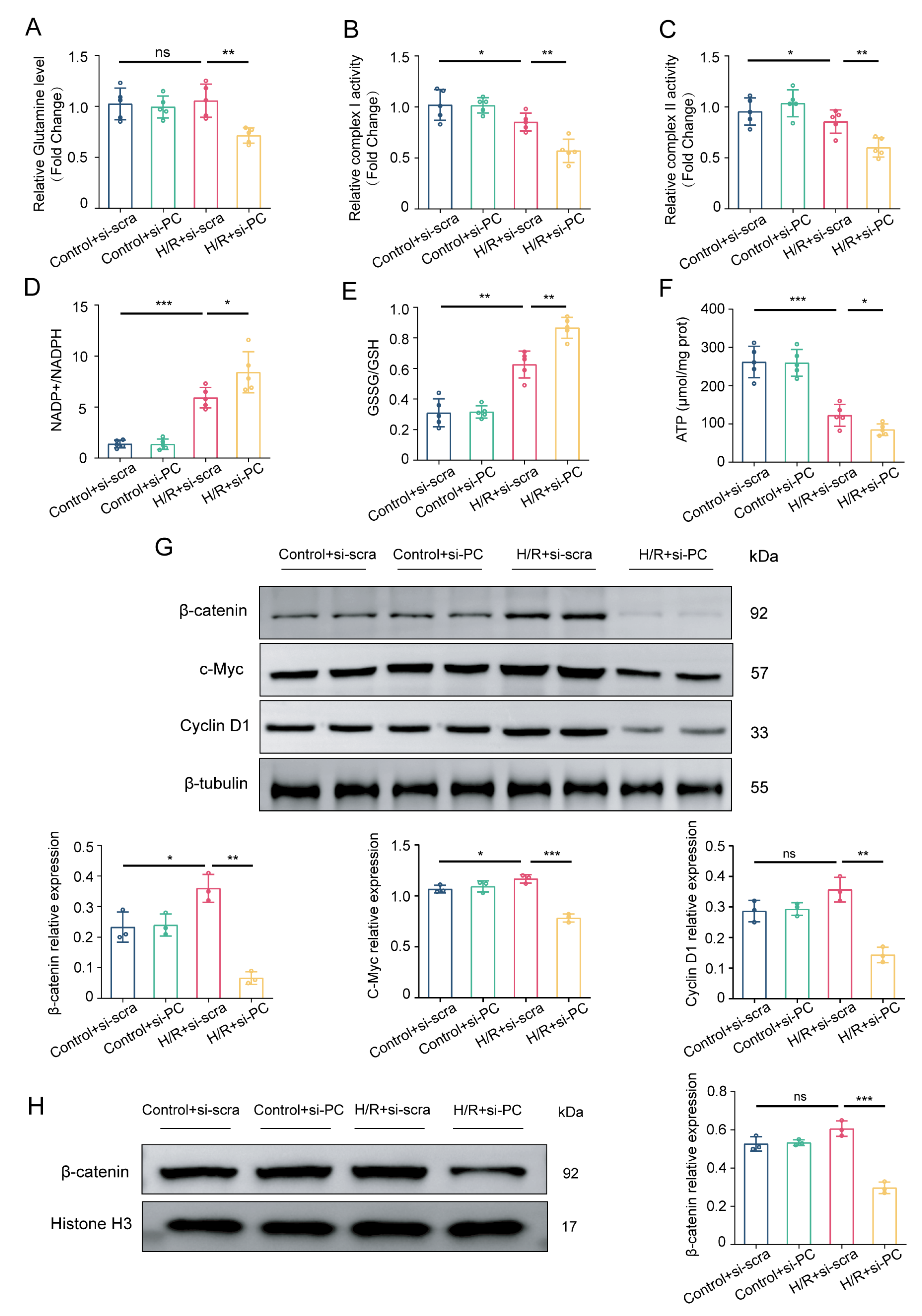 Biomedicines 12 01826 g004