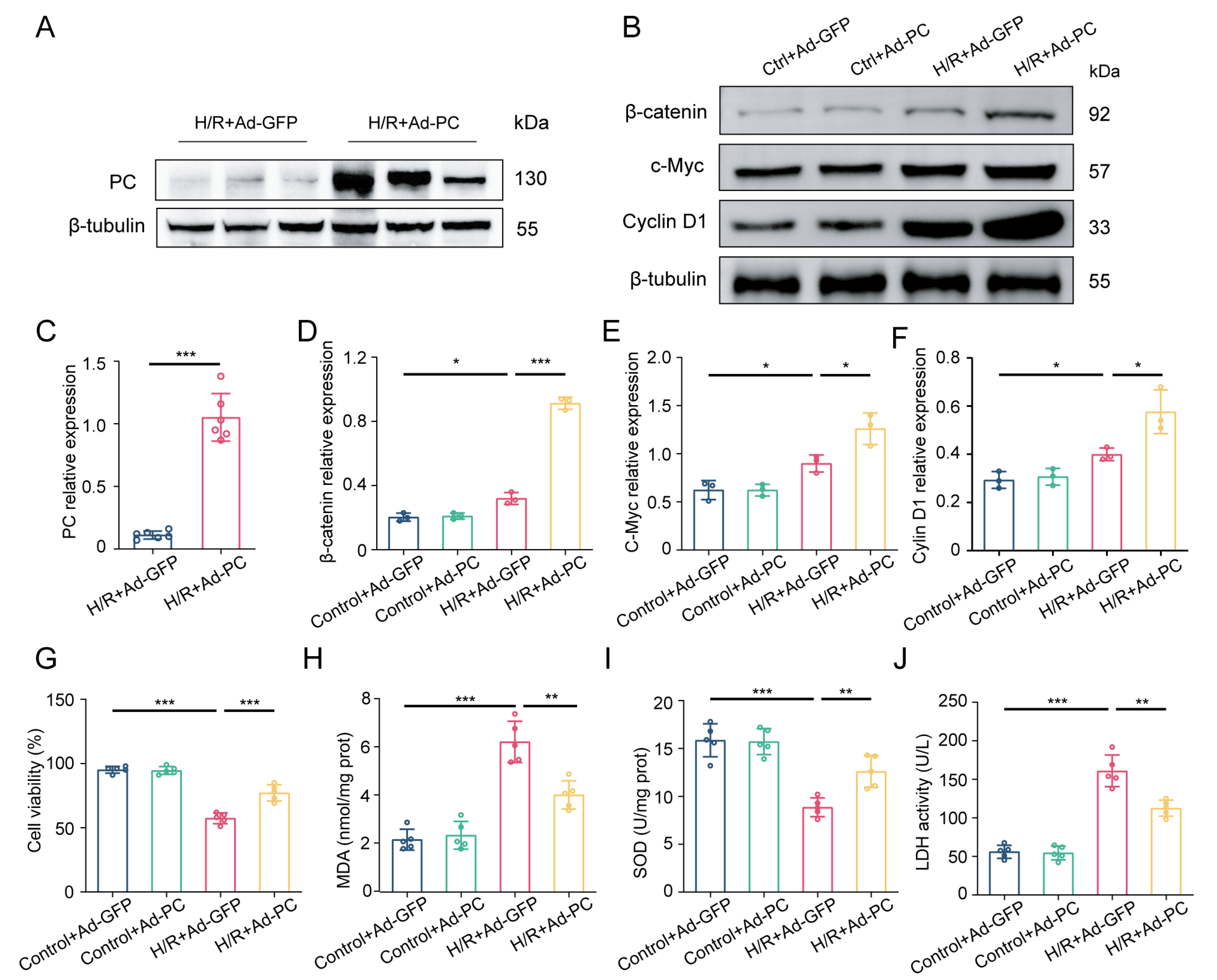 Biomedicines 12 01826 g005