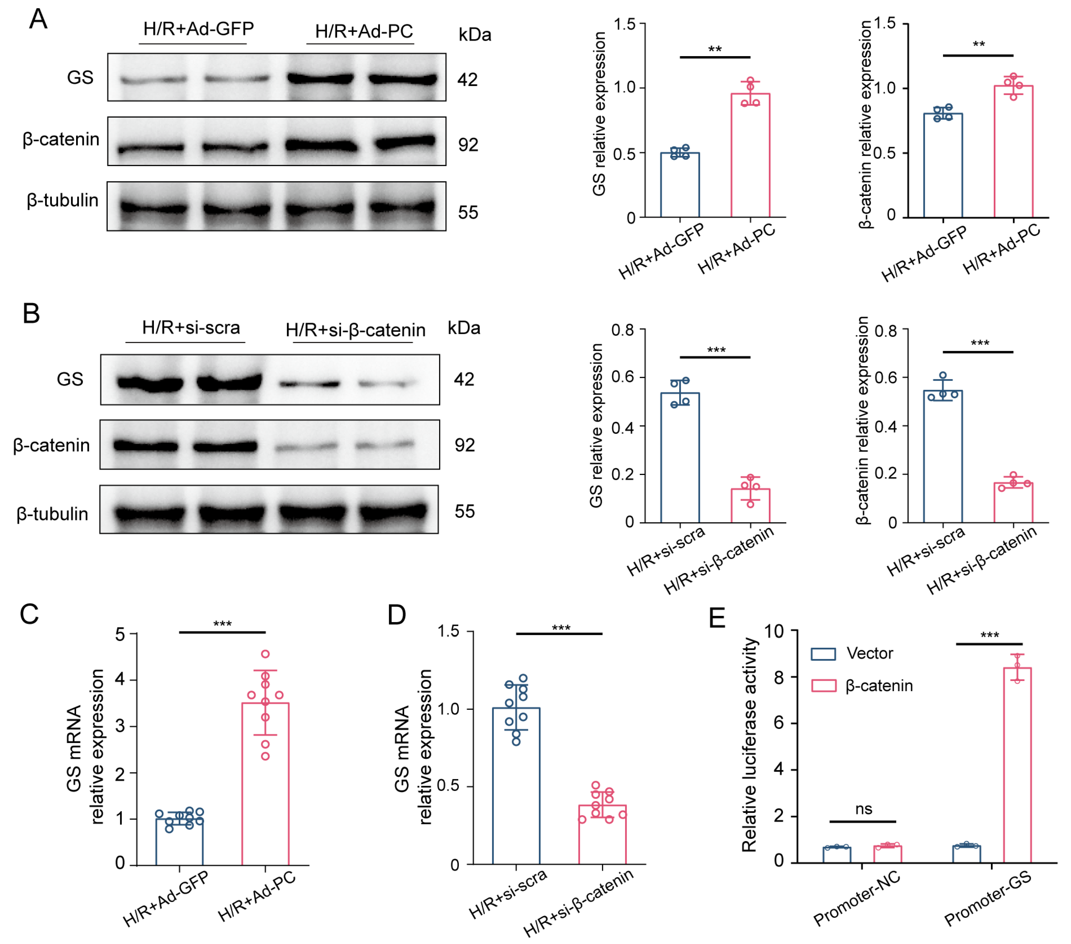 Biomedicines 12 01826 g006