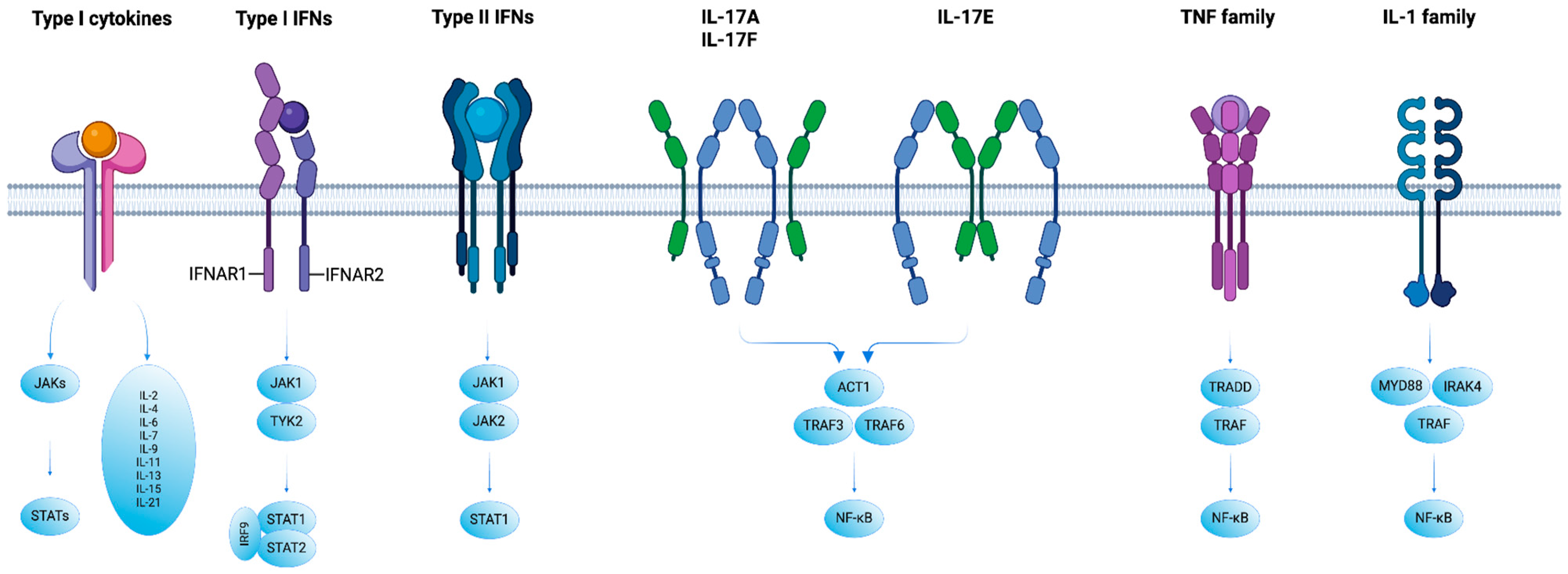 Biomedicines 12 01830 g002