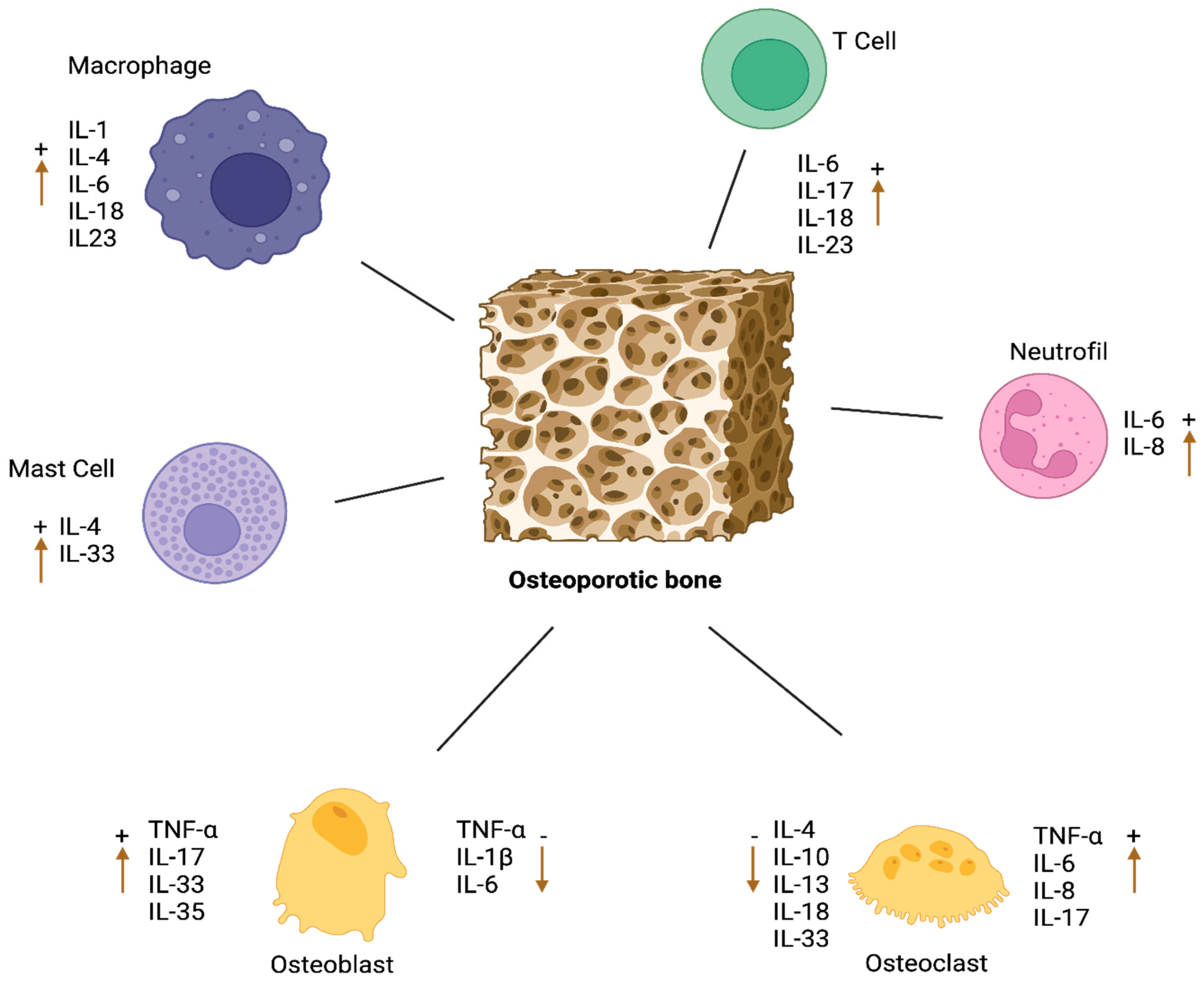 Biomedicines 12 01830 g003