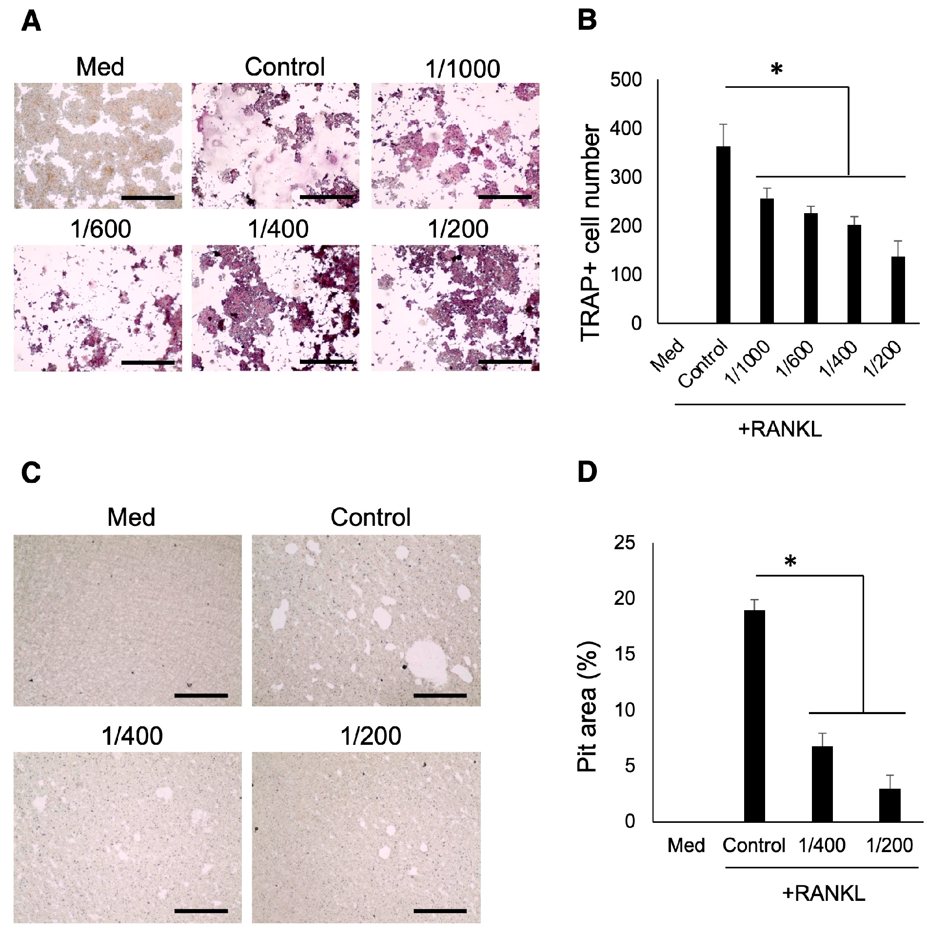Biomedicines 12 01835 g003 Biomedicines 12 01835 g003