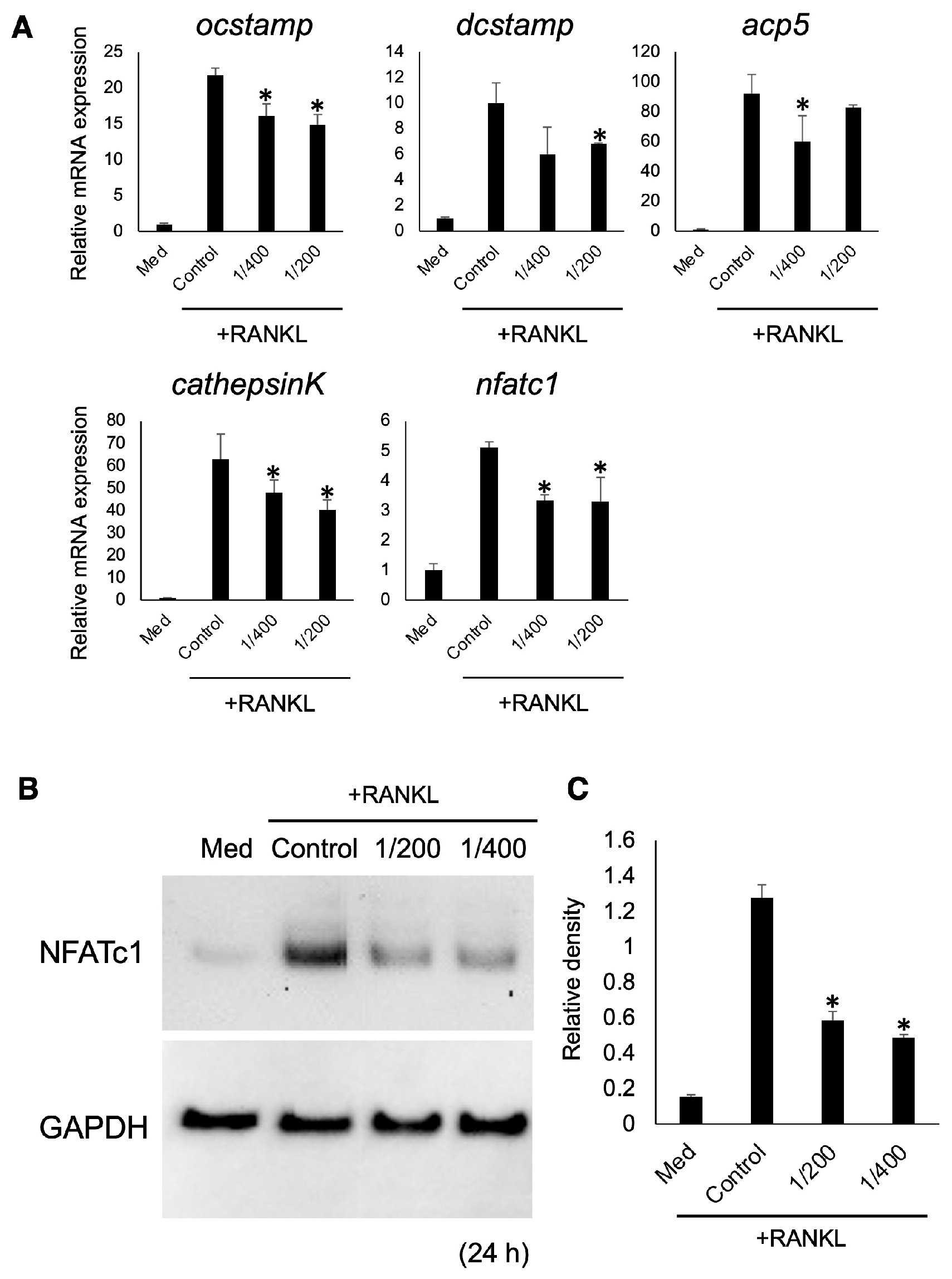 Biomedicines 12 01835 g004 Biomedicines 12 01835 g004