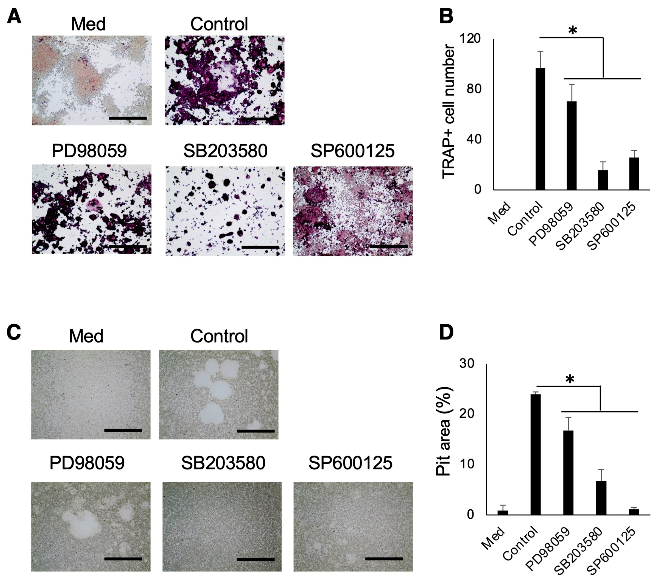 Biomedicines 12 01835 g006 Biomedicines 12 01835 g006
