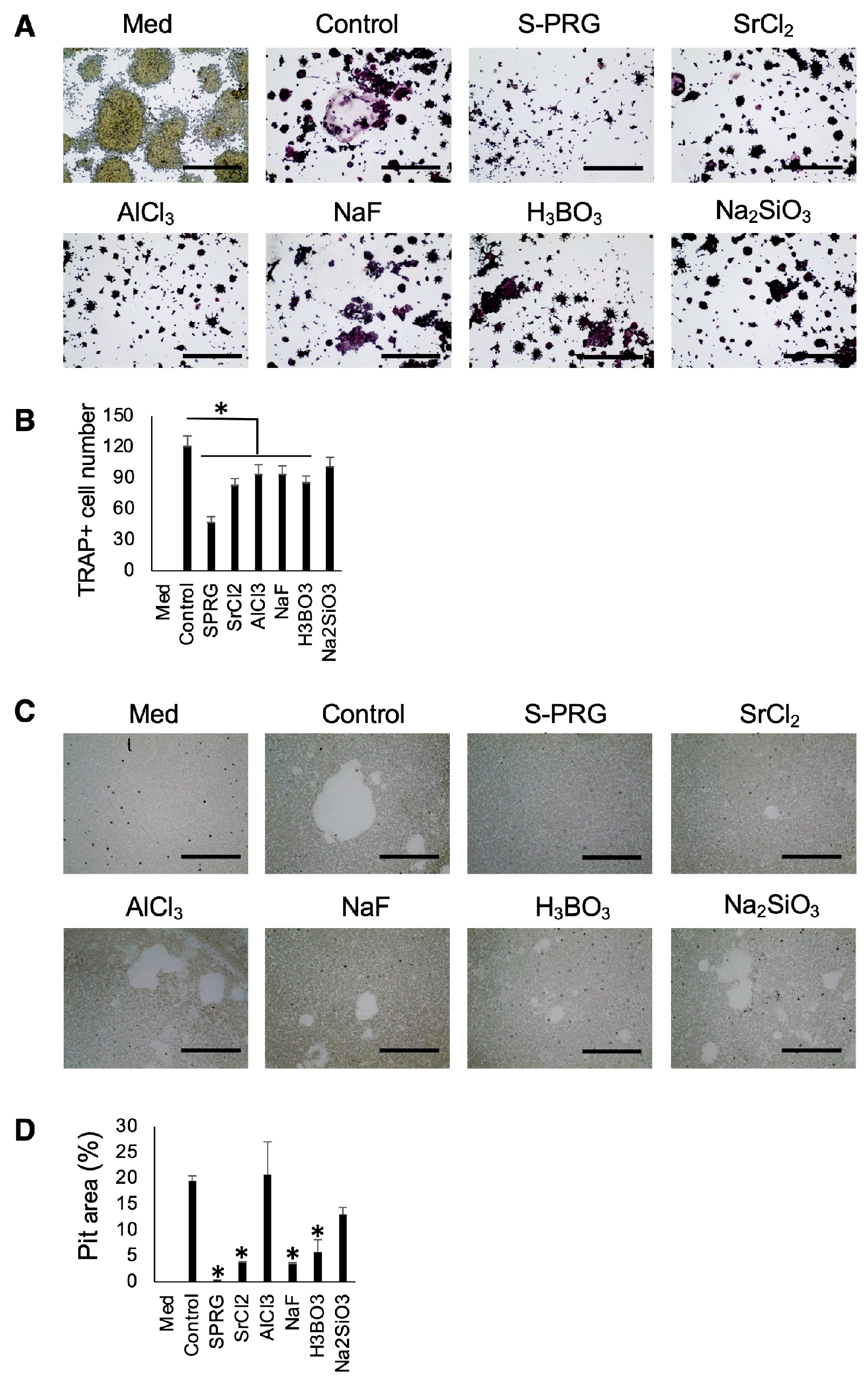 Biomedicines 12 01835 g009 Biomedicines 12 01835 g009