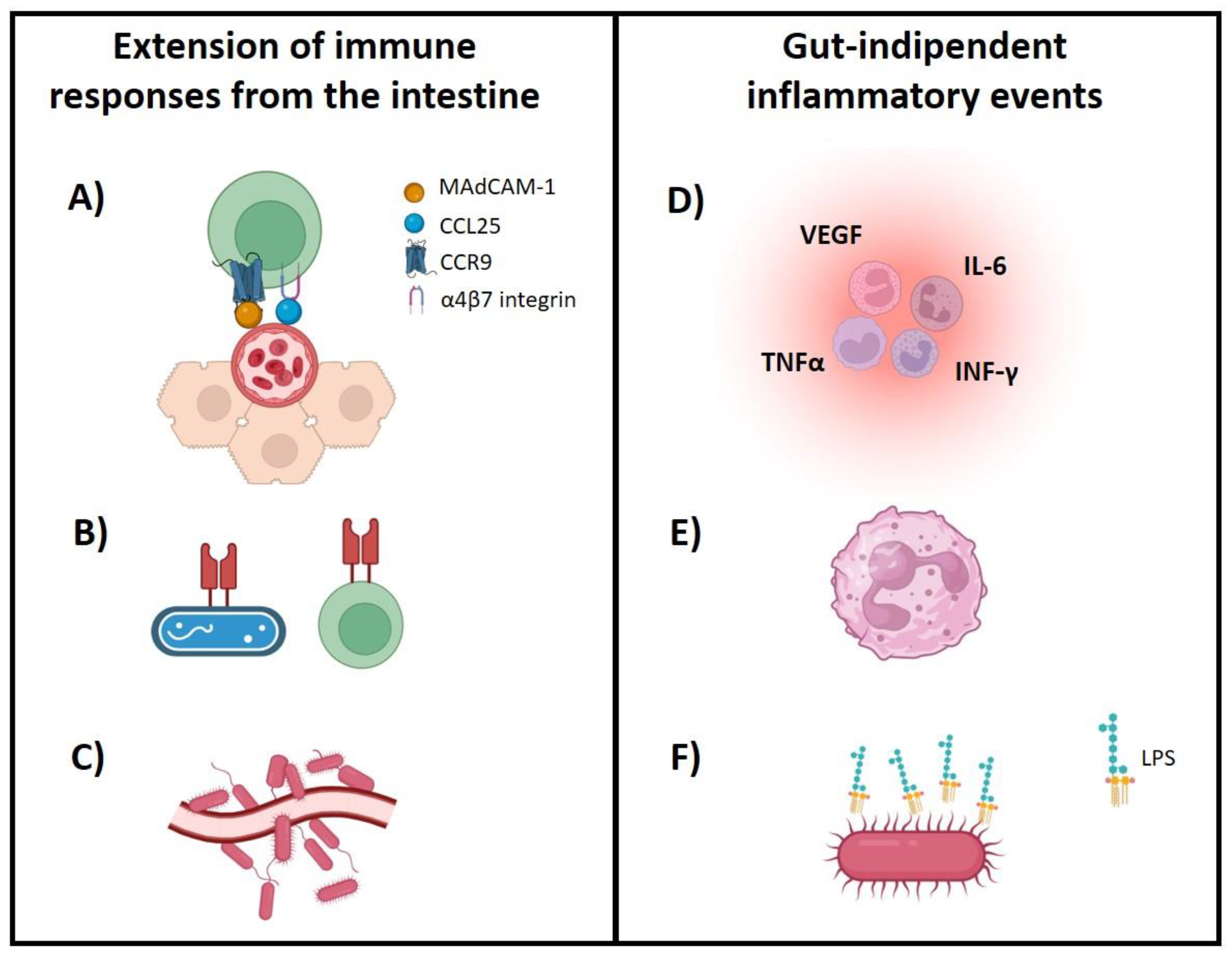Biomedicines 12 01839 g001