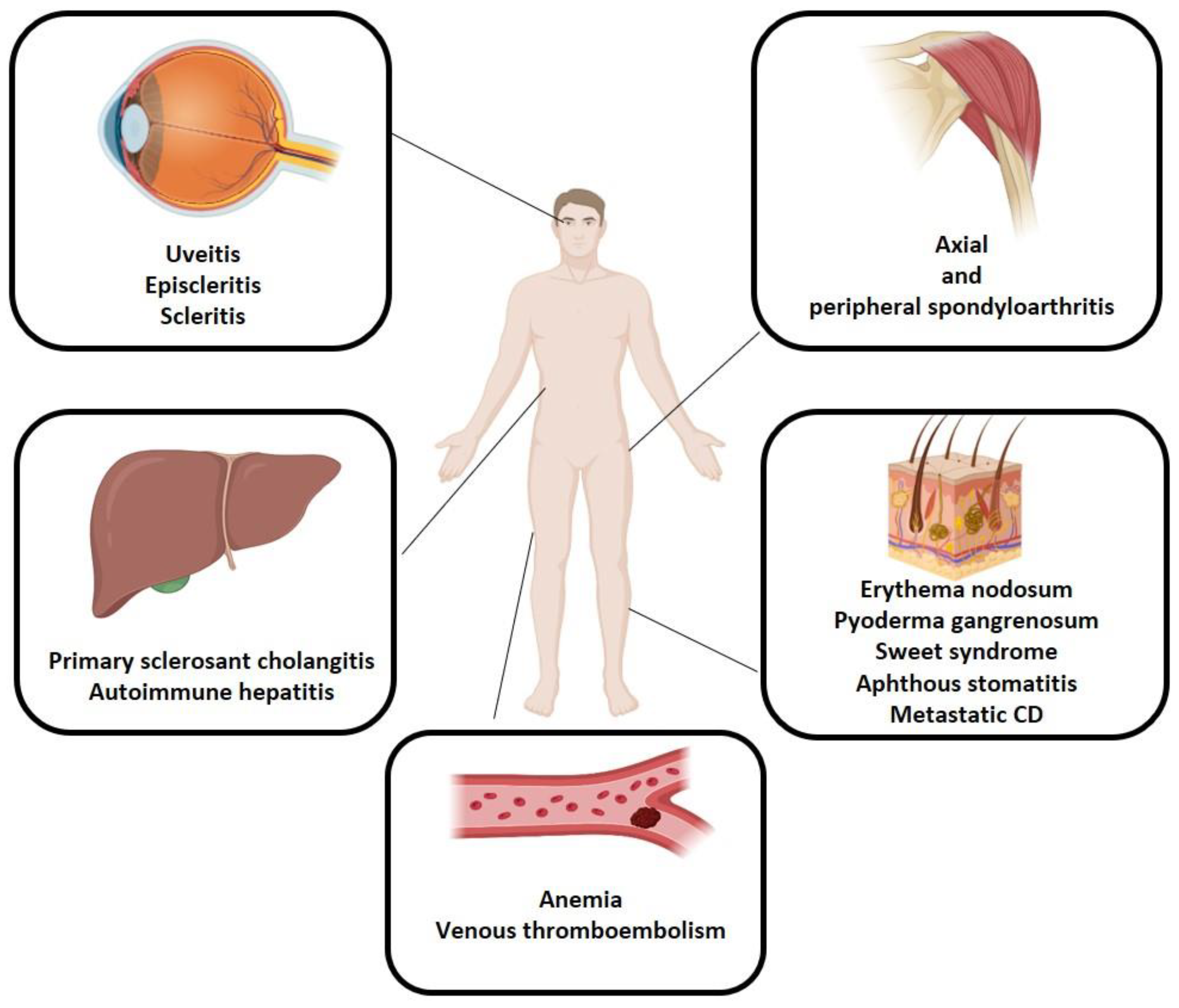 Biomedicines 12 01839 g002