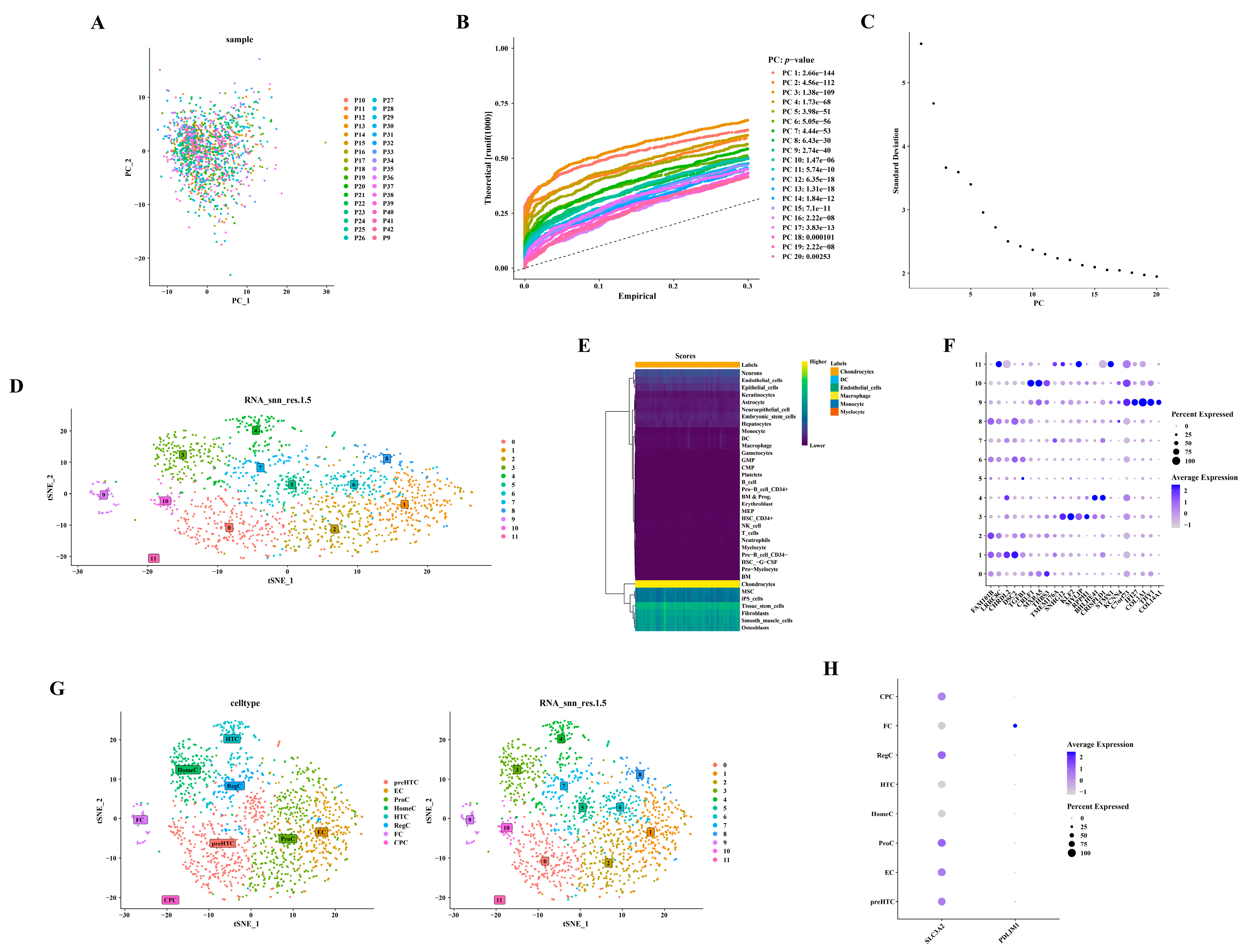 Biomedicines 12 01840 g007