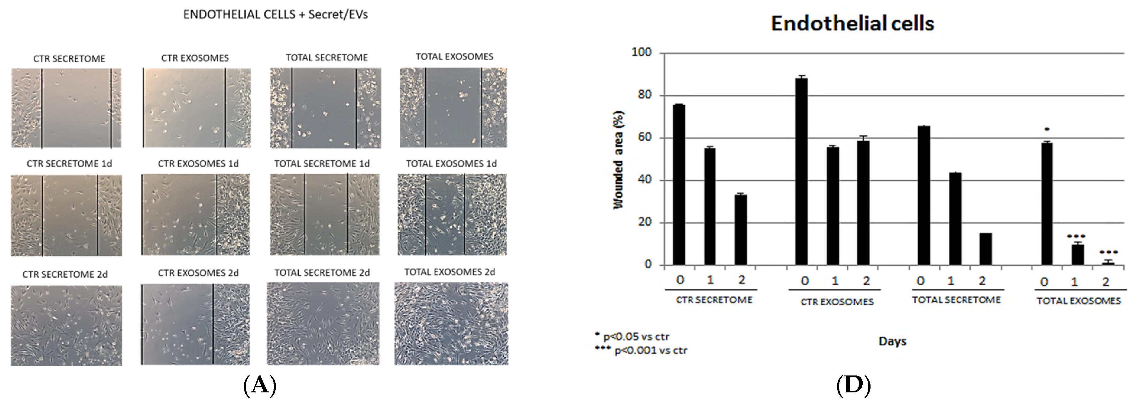 Biomedicines 12 01842 g004a