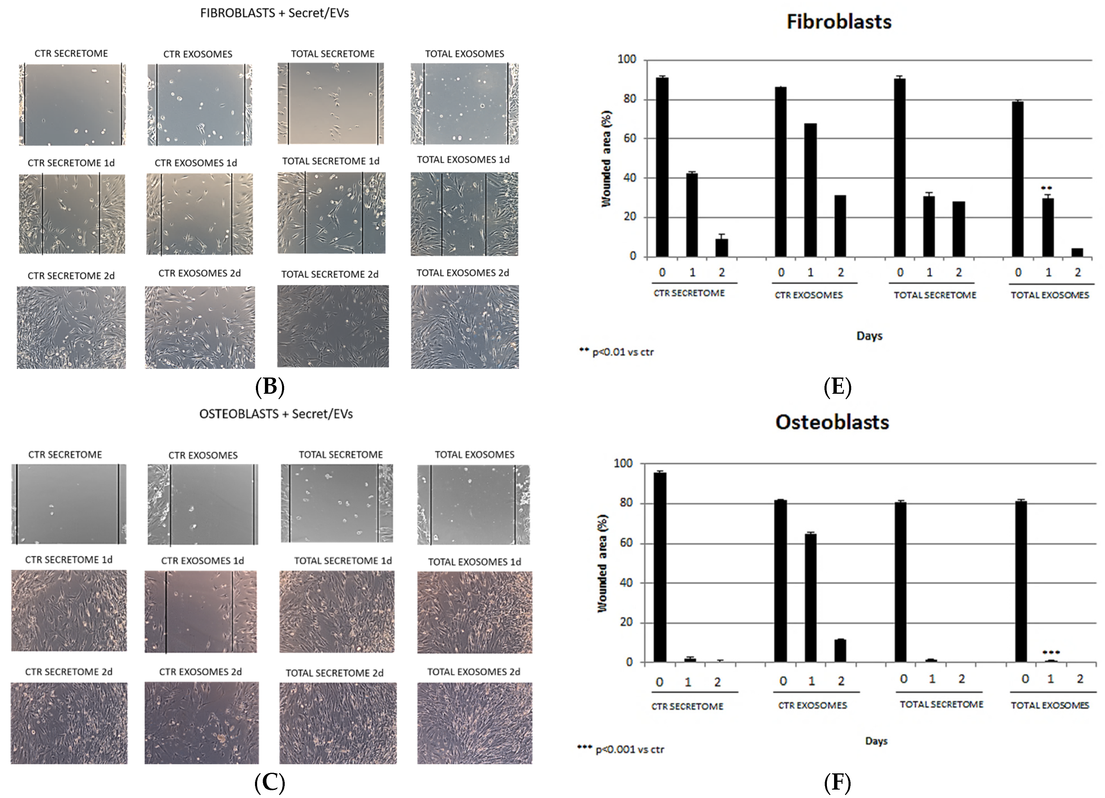 Biomedicines 12 01842 g004b