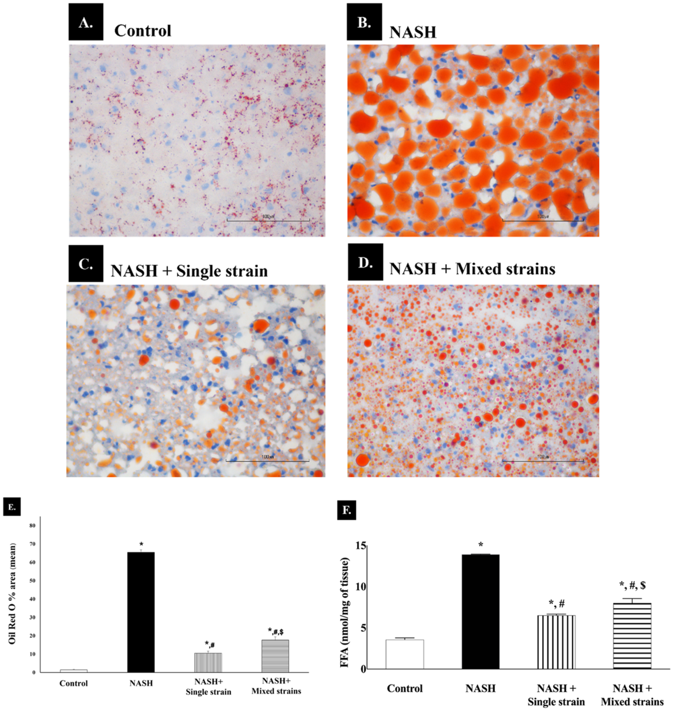 Biomedicines 12 01847 g002 Biomedicines 12 01847 g002