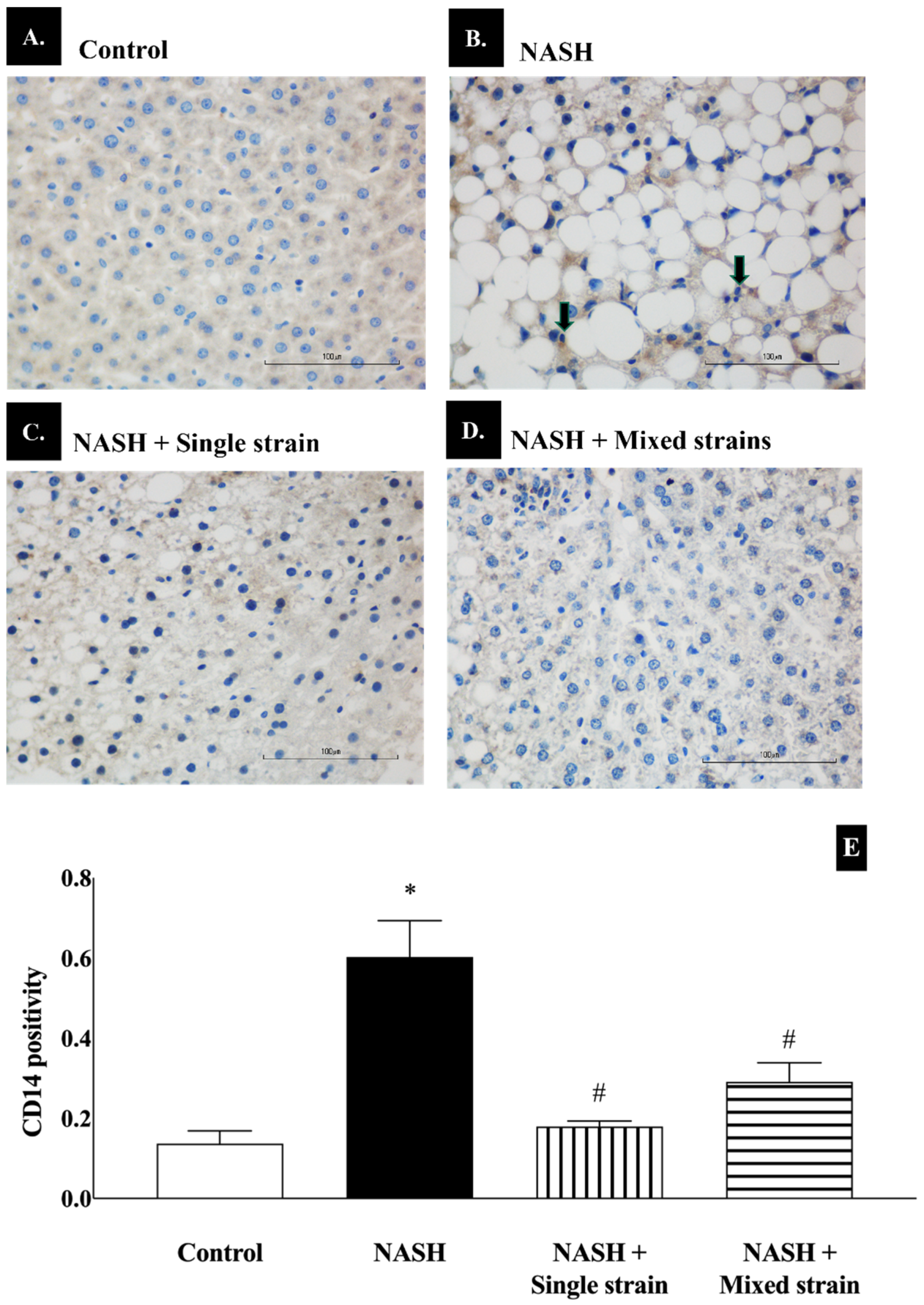 Biomedicines 12 01847 g004 Biomedicines 12 01847 g004