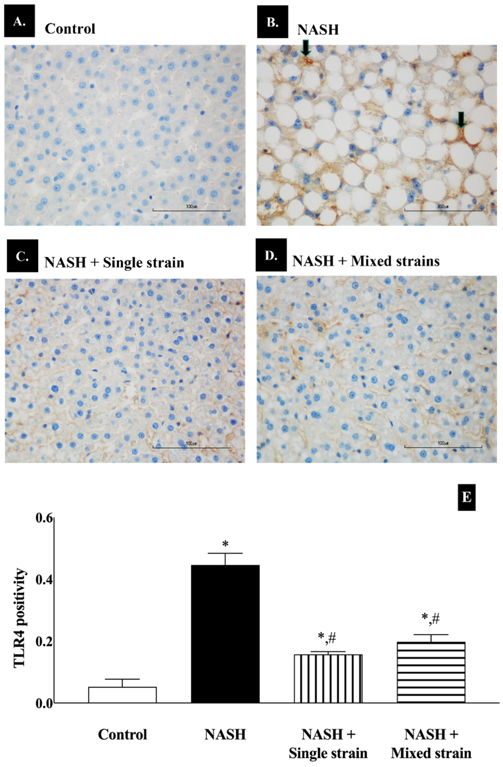 Biomedicines 12 01847 g005 Biomedicines 12 01847 g005