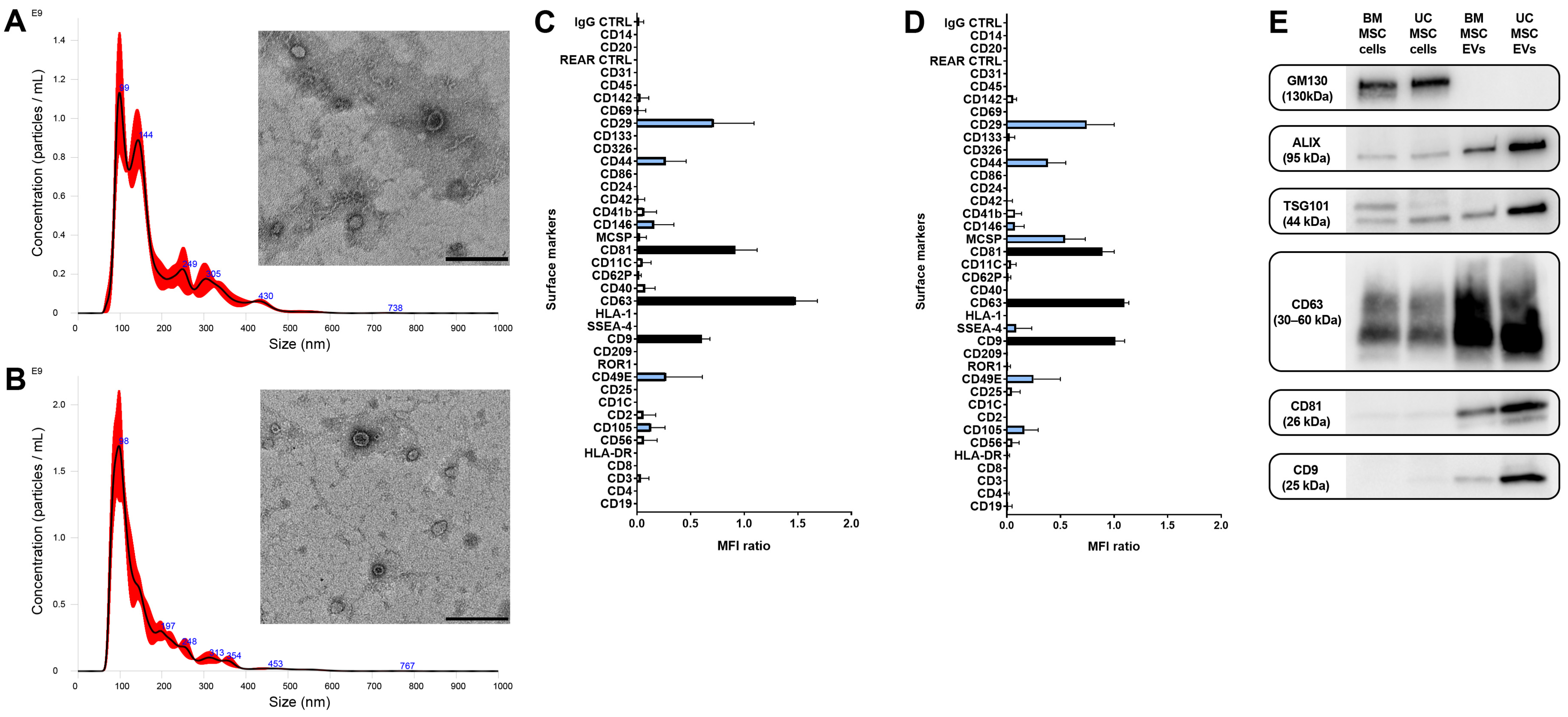 Biomedicines 12 01849 g003 Biomedicines 12 01849 g003