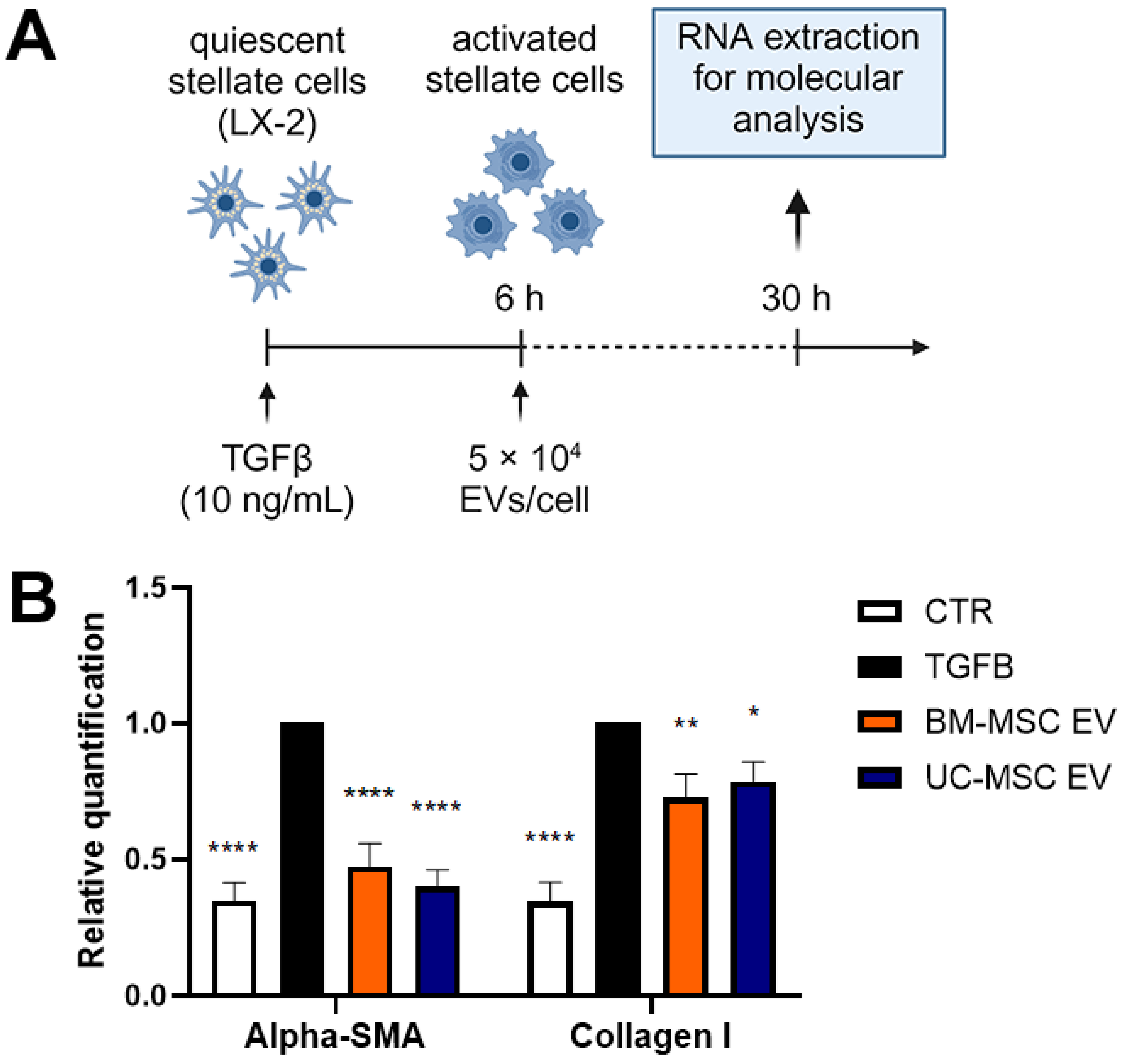 Biomedicines 12 01849 g005 Biomedicines 12 01849 g005