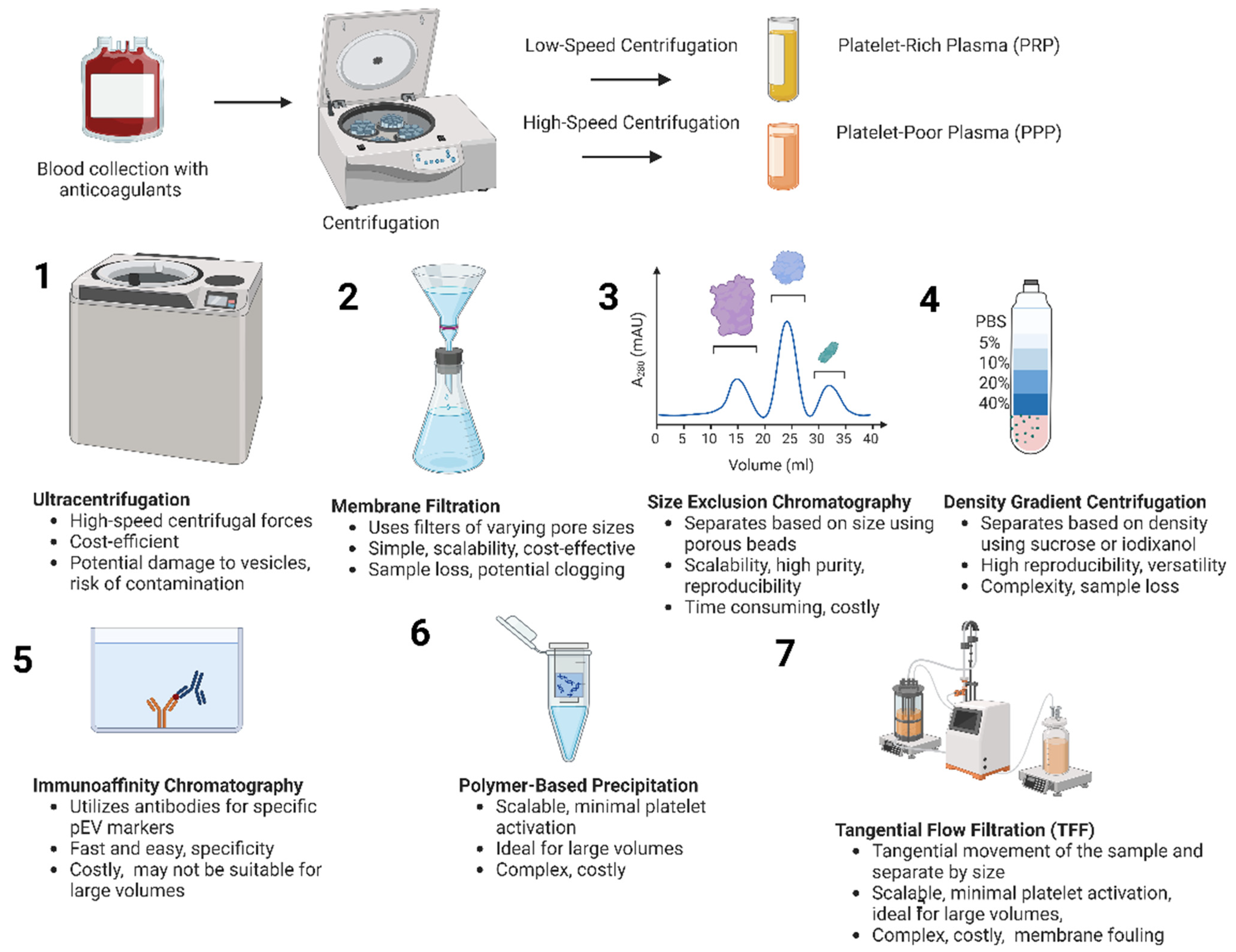 Biomedicines 12 01850 g002 Biomedicines 12 01850 g002