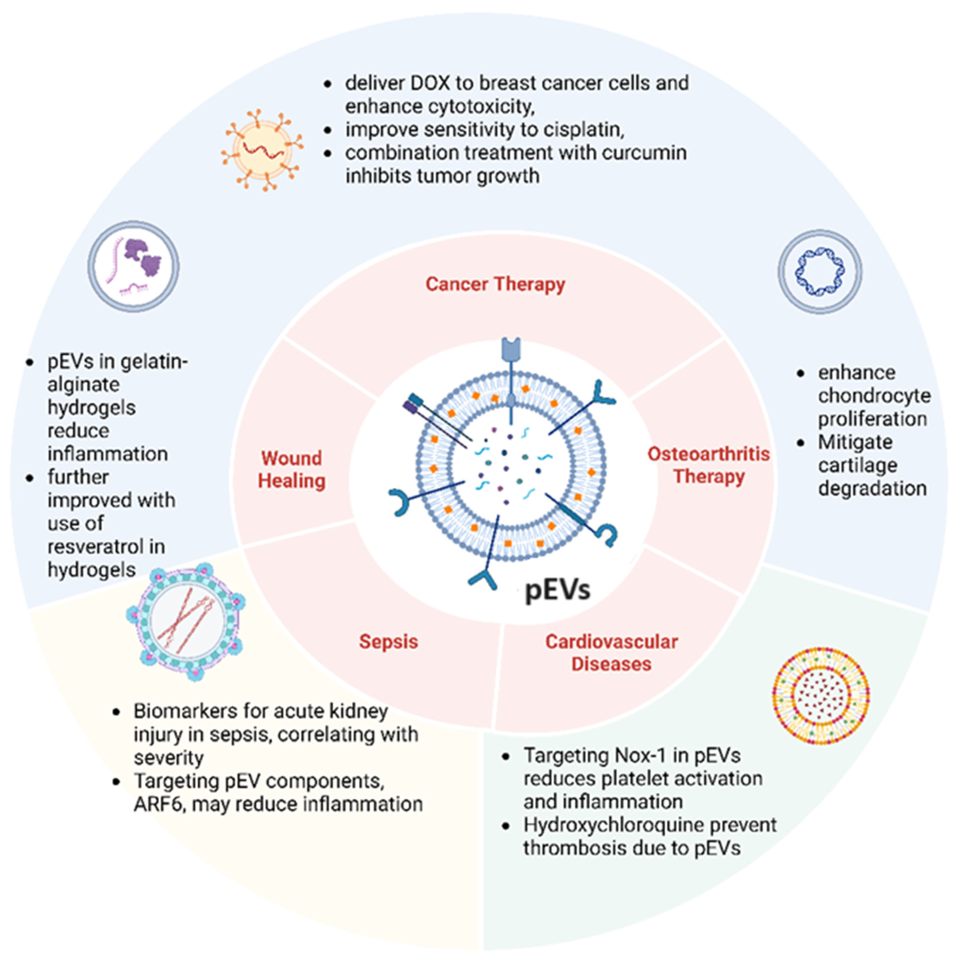 Biomedicines 12 01850 g003 Biomedicines 12 01850 g003