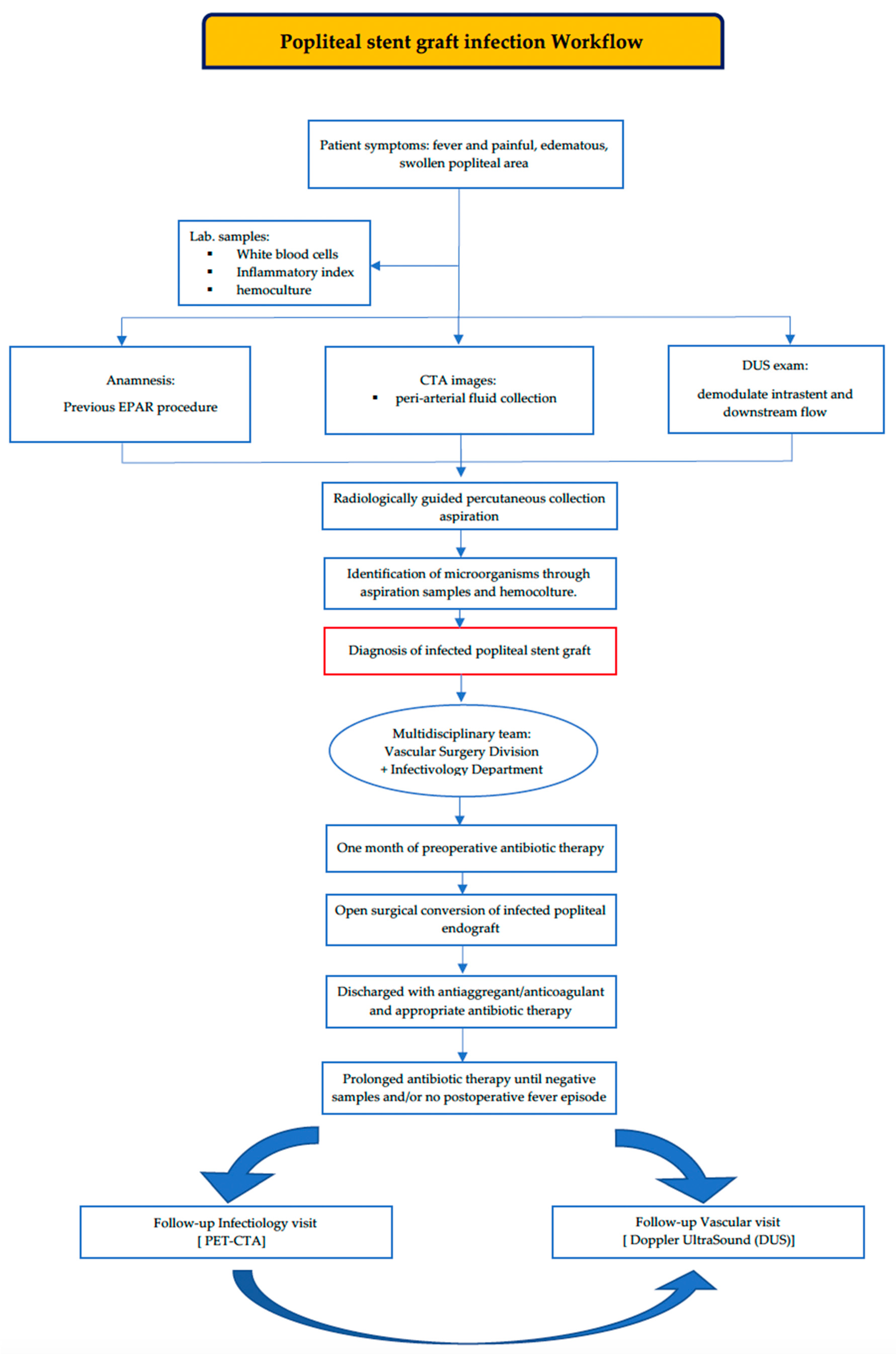 Biomedicines 12 01855 g005 Biomedicines 12 01855 g005