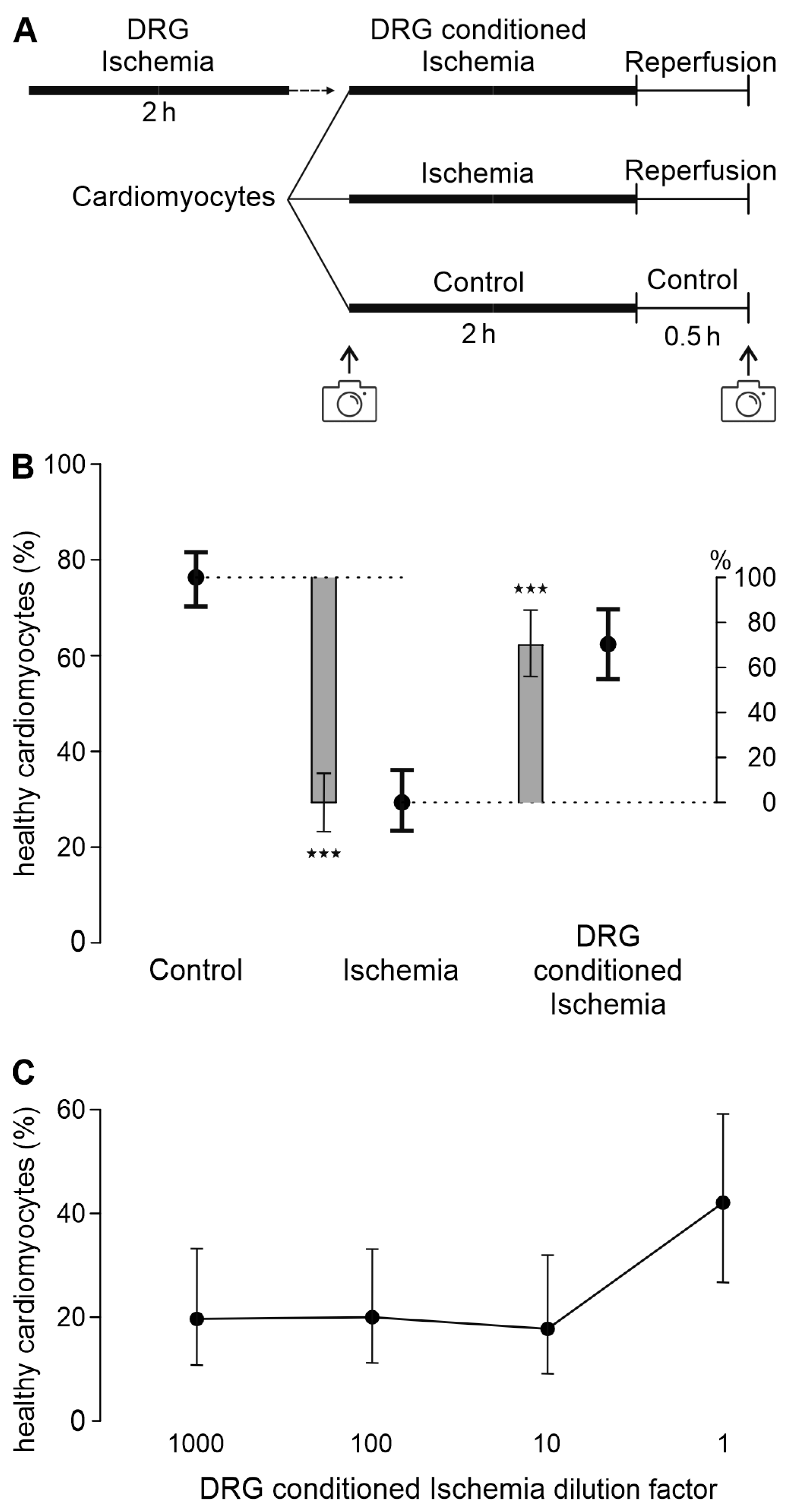 Biomedicines 12 01856 g001 Biomedicines 12 01856 g001